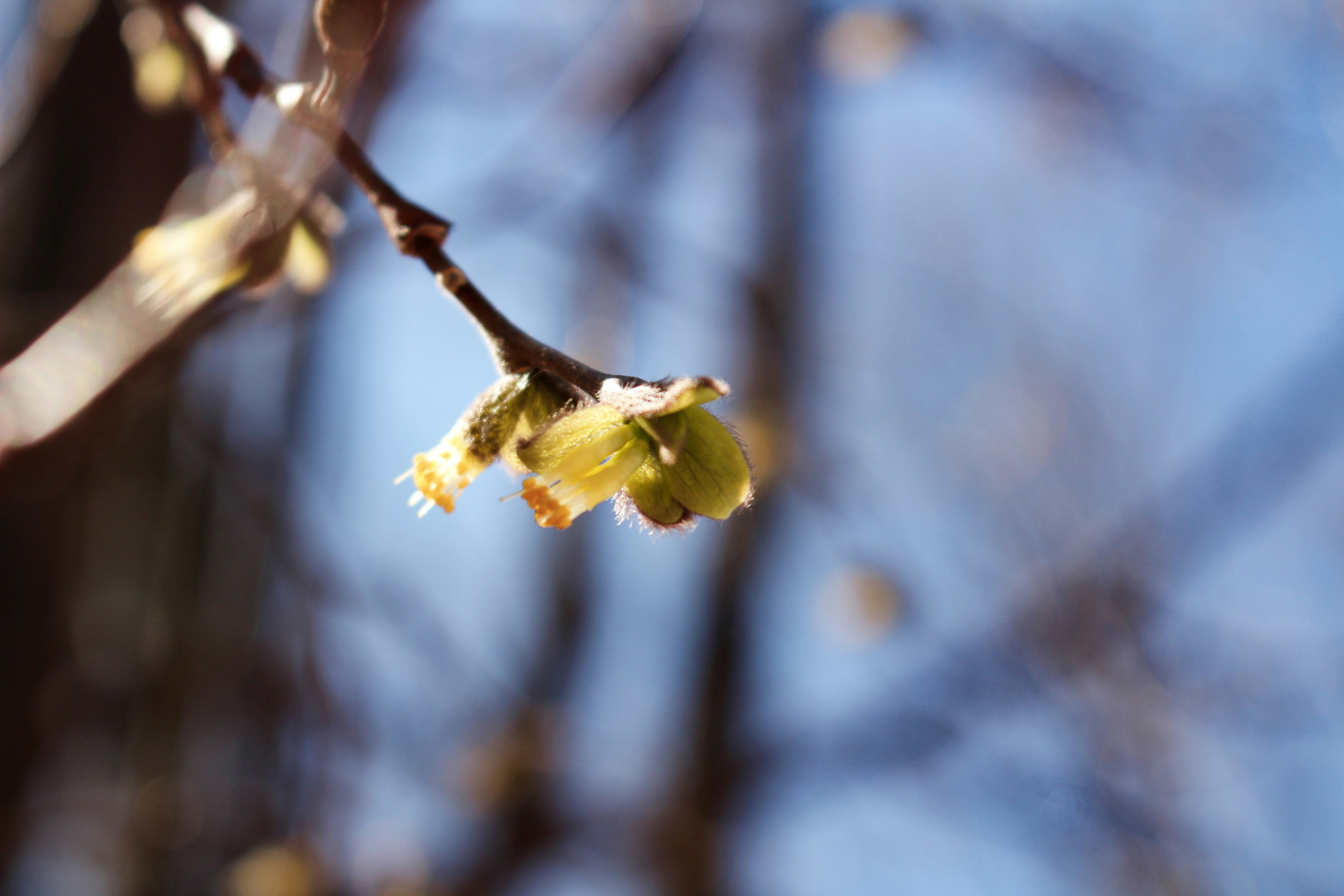 Photo by elijahaustin