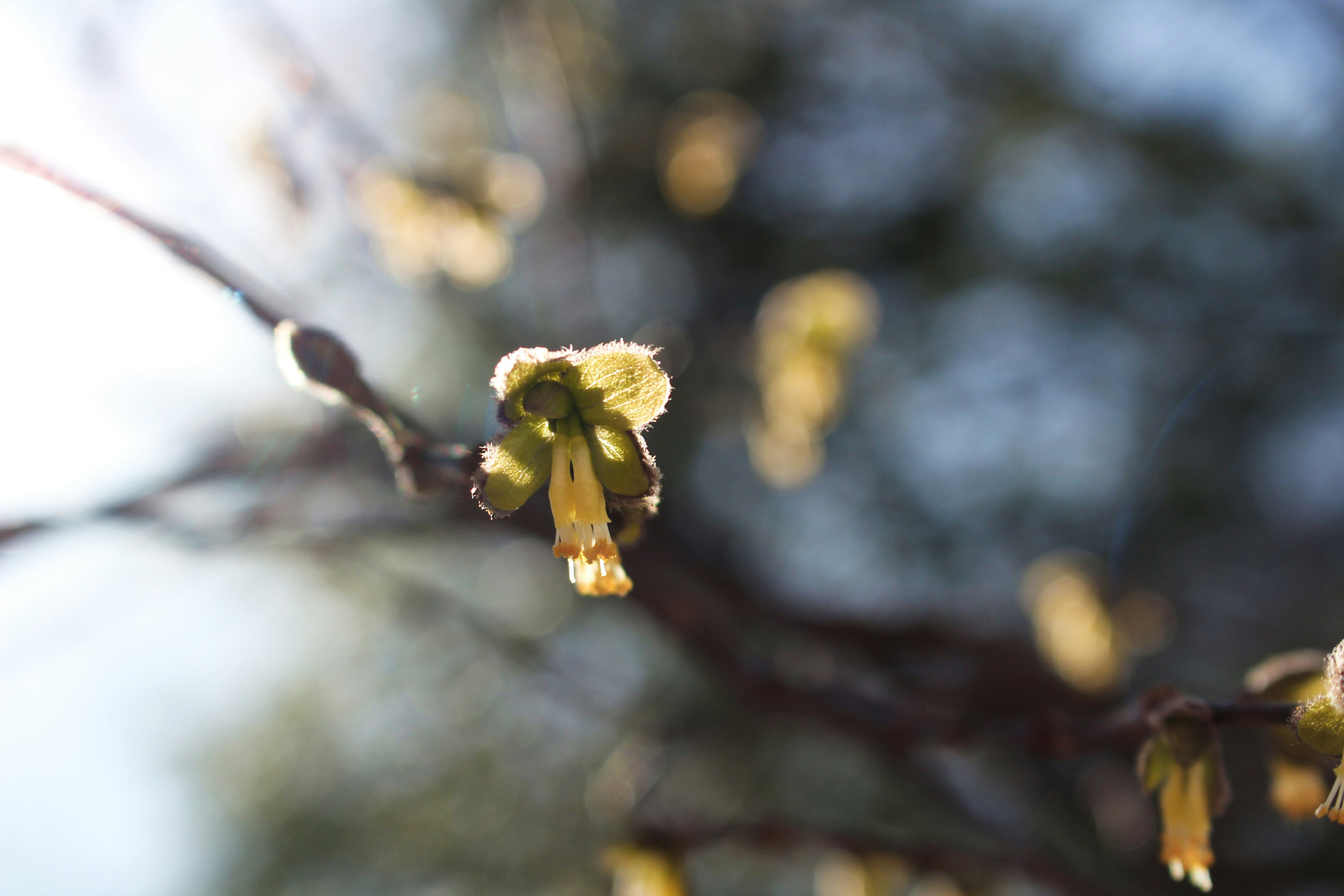 Photo by elijahaustin