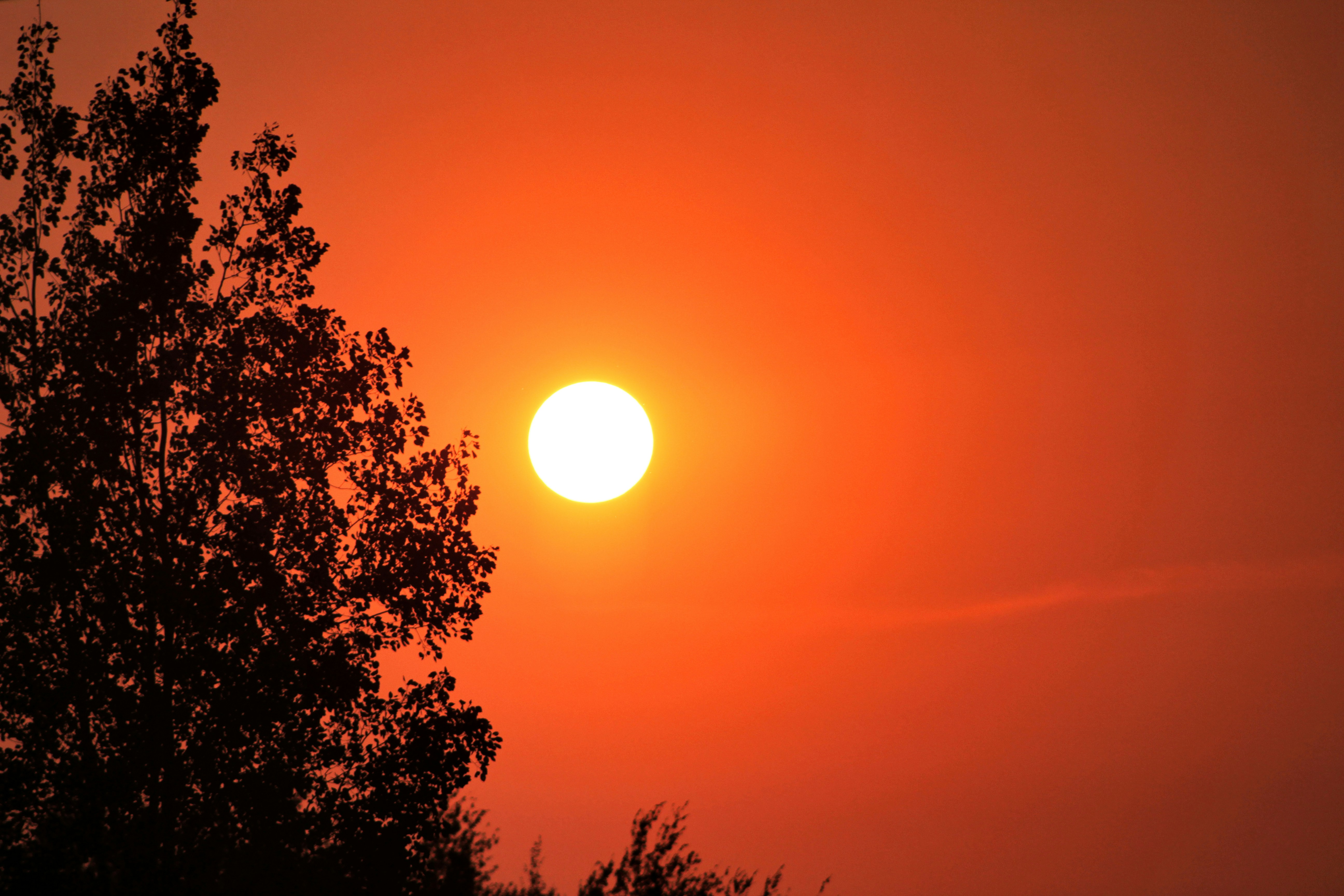 Photo by elijahaustin