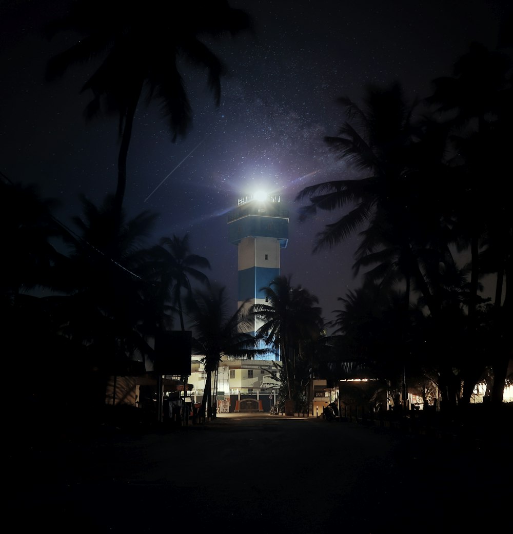 a building with palm trees in front of it at night