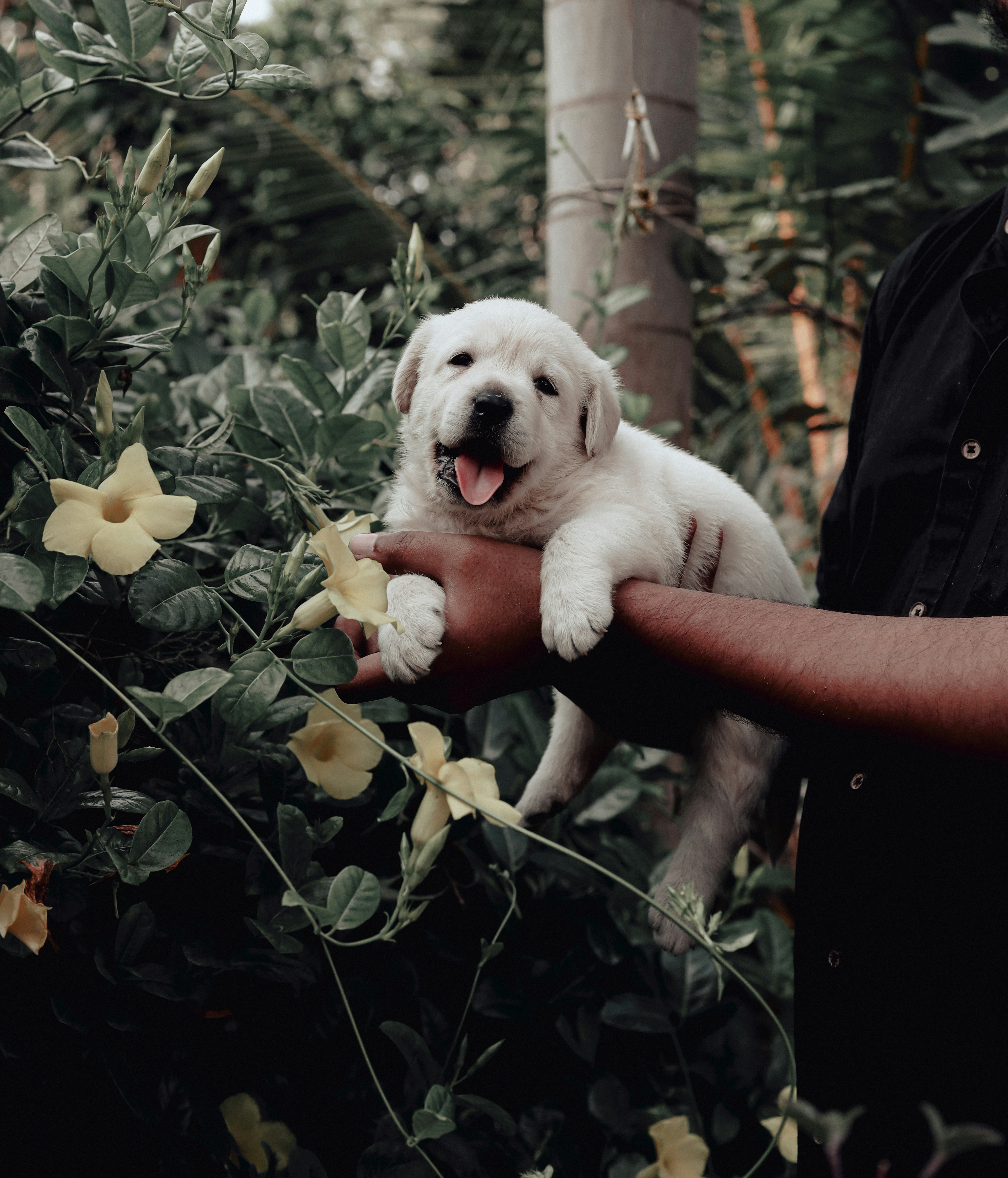 Photo by itsananthakrishnan