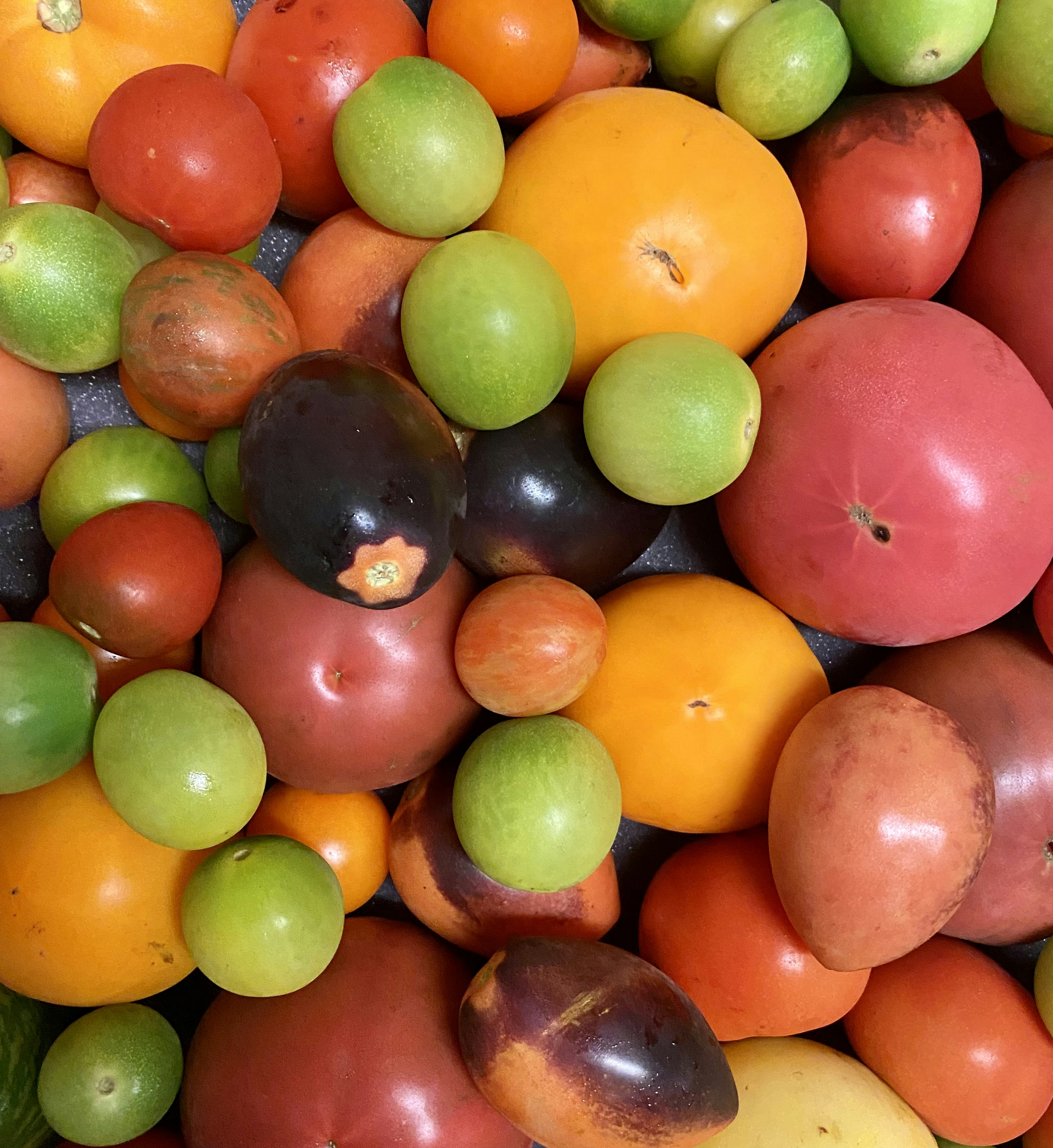 Nutritional Biodiversity: Why Variety Matters
