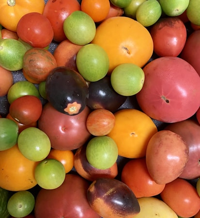 A collection of various tomatoes and fruits in different sizes and colors, including red, green, yellow, and orange. The fruits are closely packed together, showcasing a natural diversity of shapes and textures.