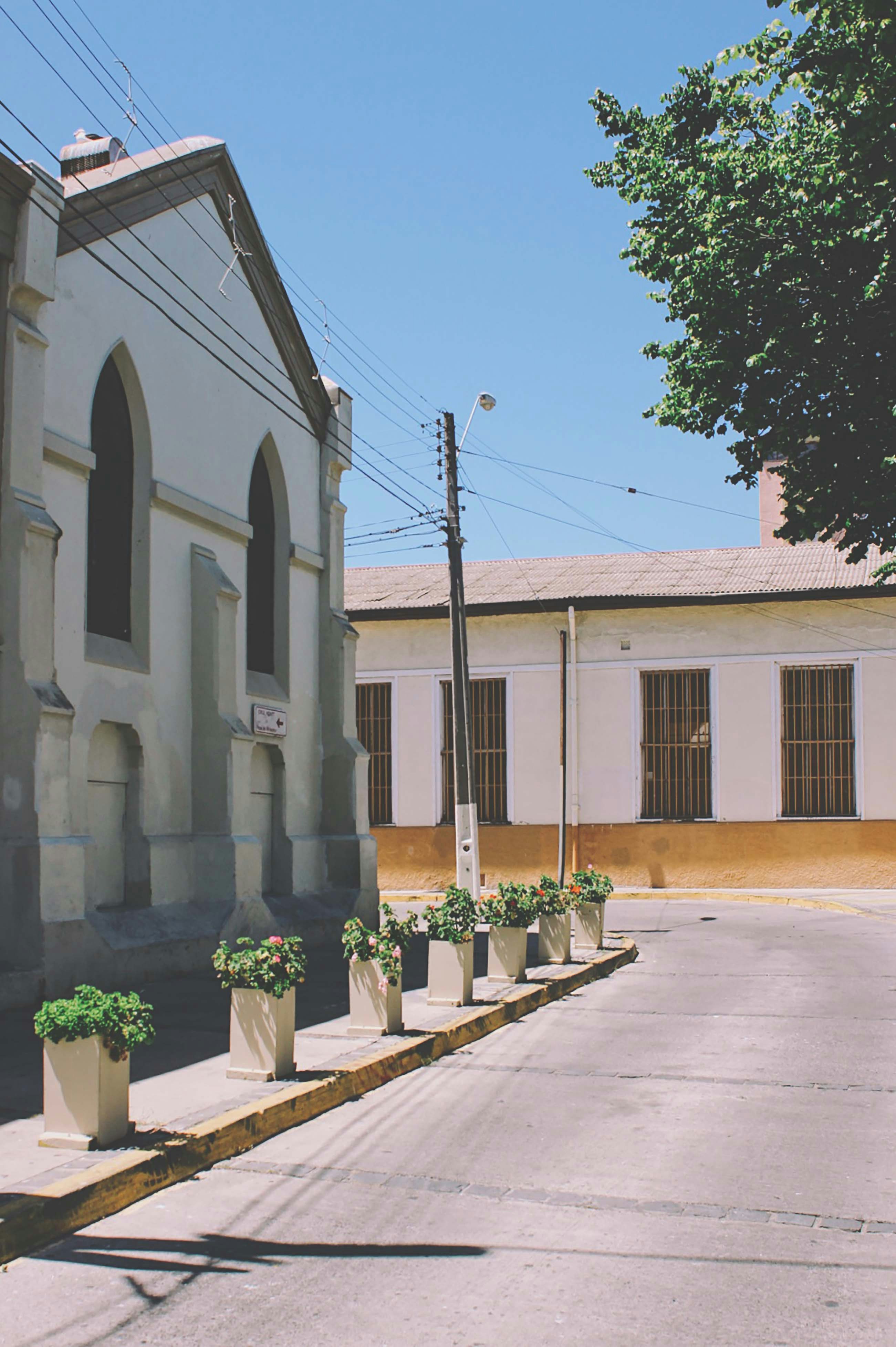 a street with buildings and trees