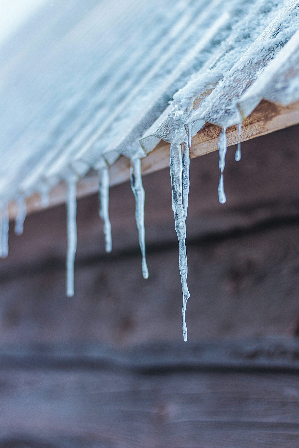 icicles from a branch