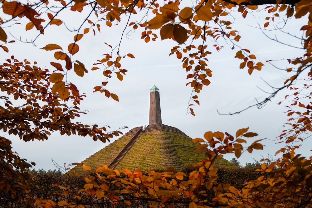 a building with a tower and trees around it