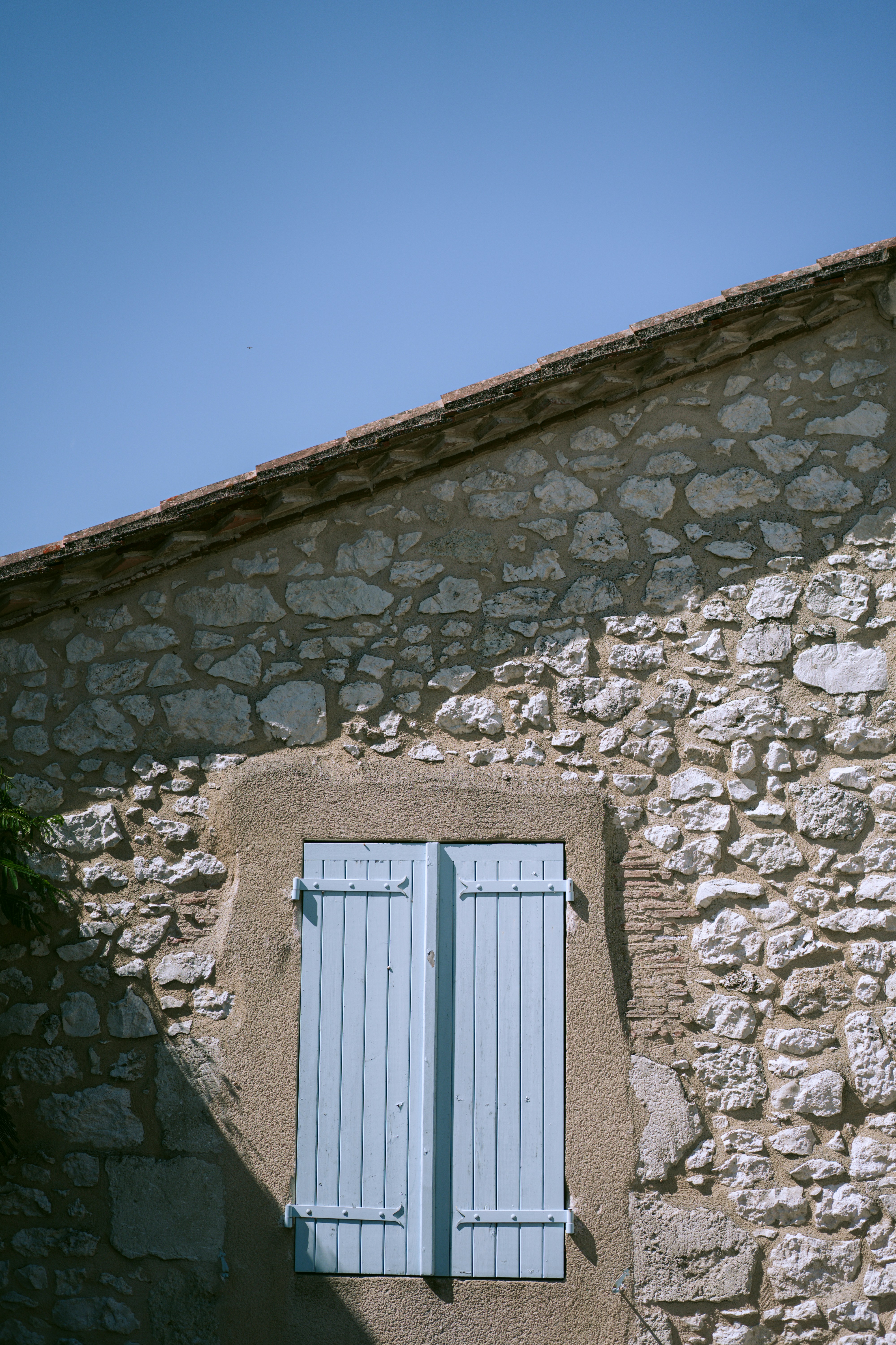 Photo by francescafrann