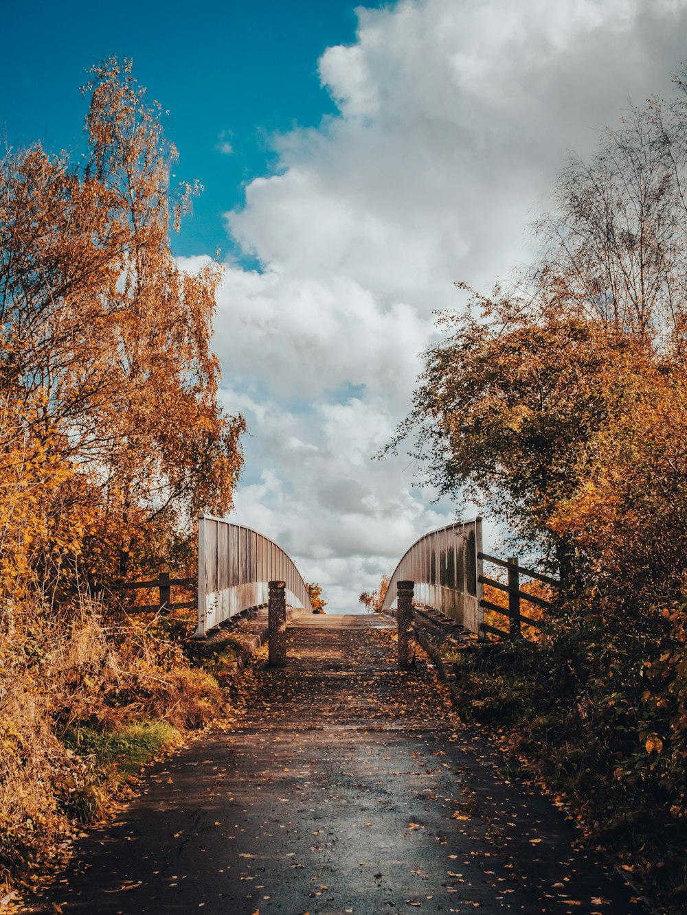 a road with a fence and trees on the side