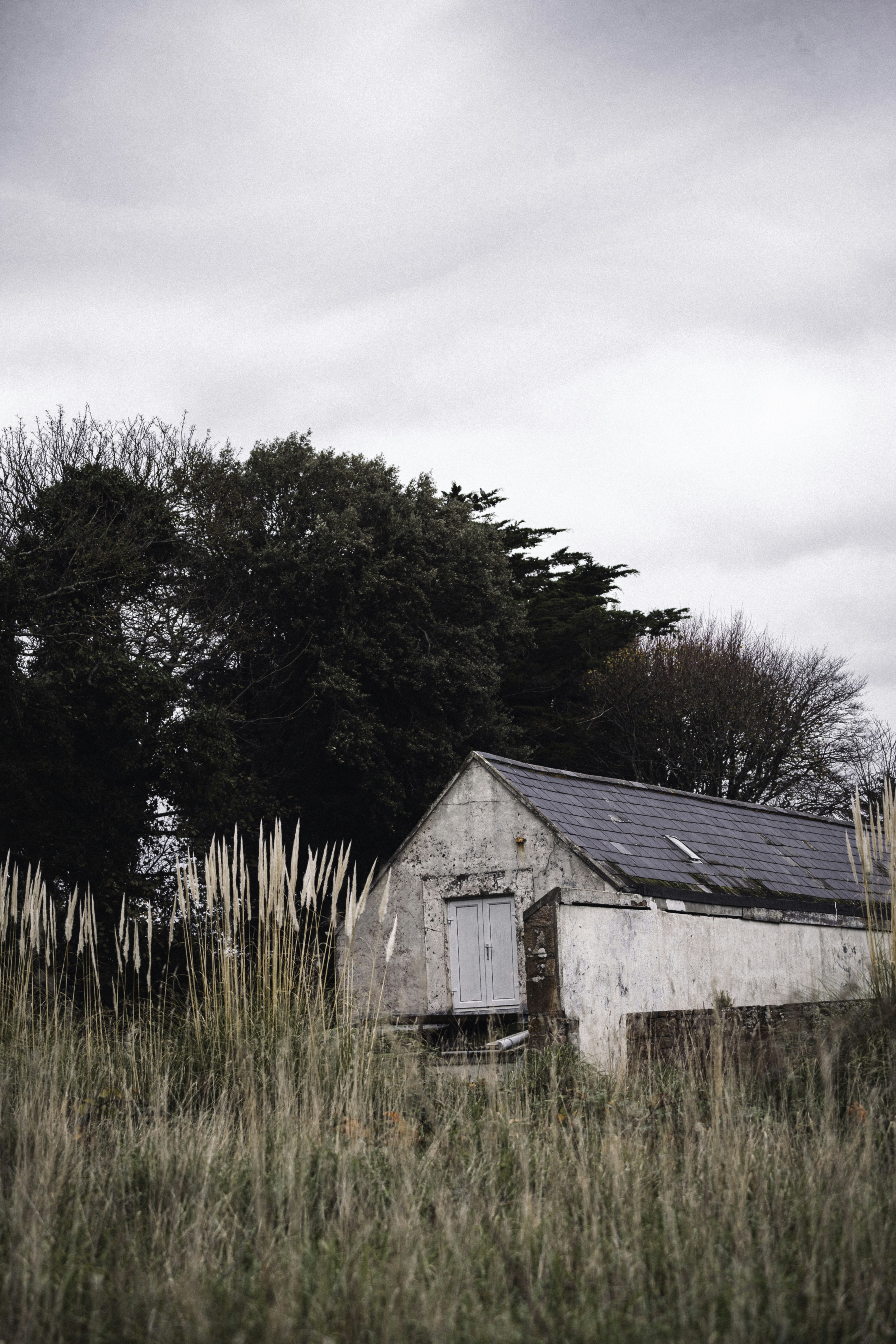 Photo by francescafrann