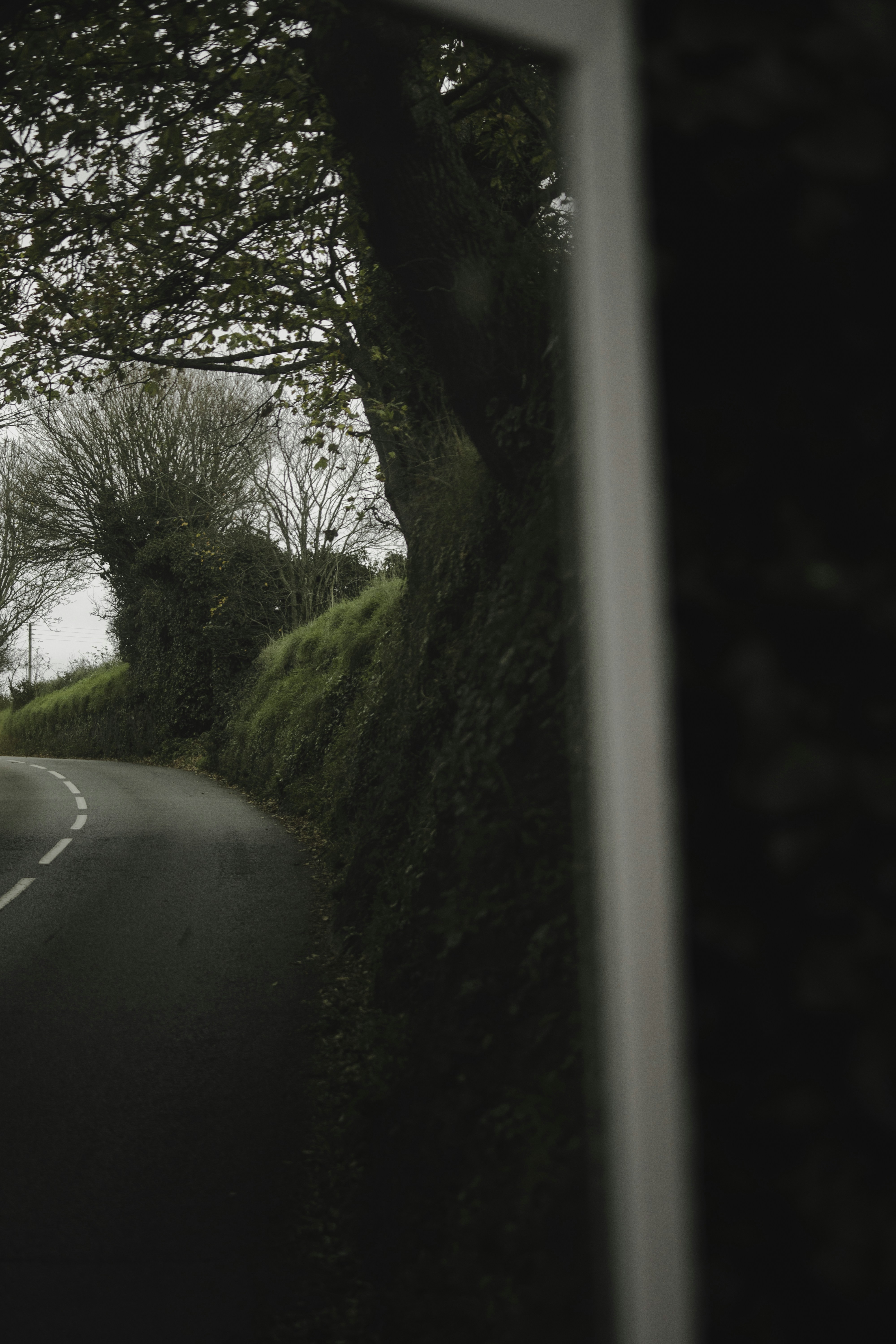 Photo by francescafrann