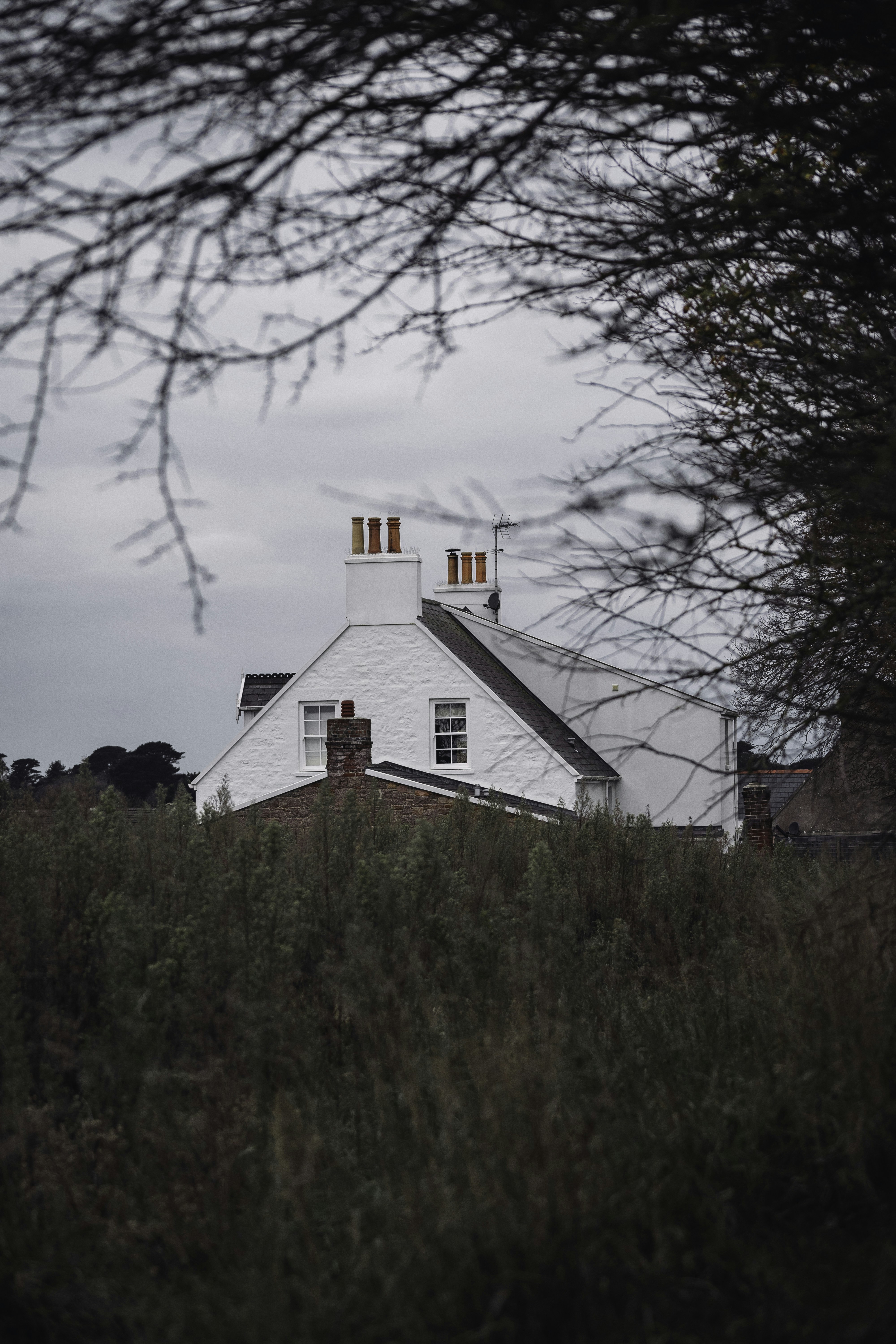 Photo by francescafrann