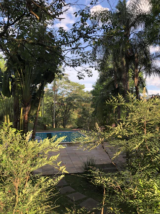 A private garden featuring a serene pool surrounded by lush greenery and sculpted trees.