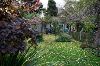 a backyard with a fence and trees