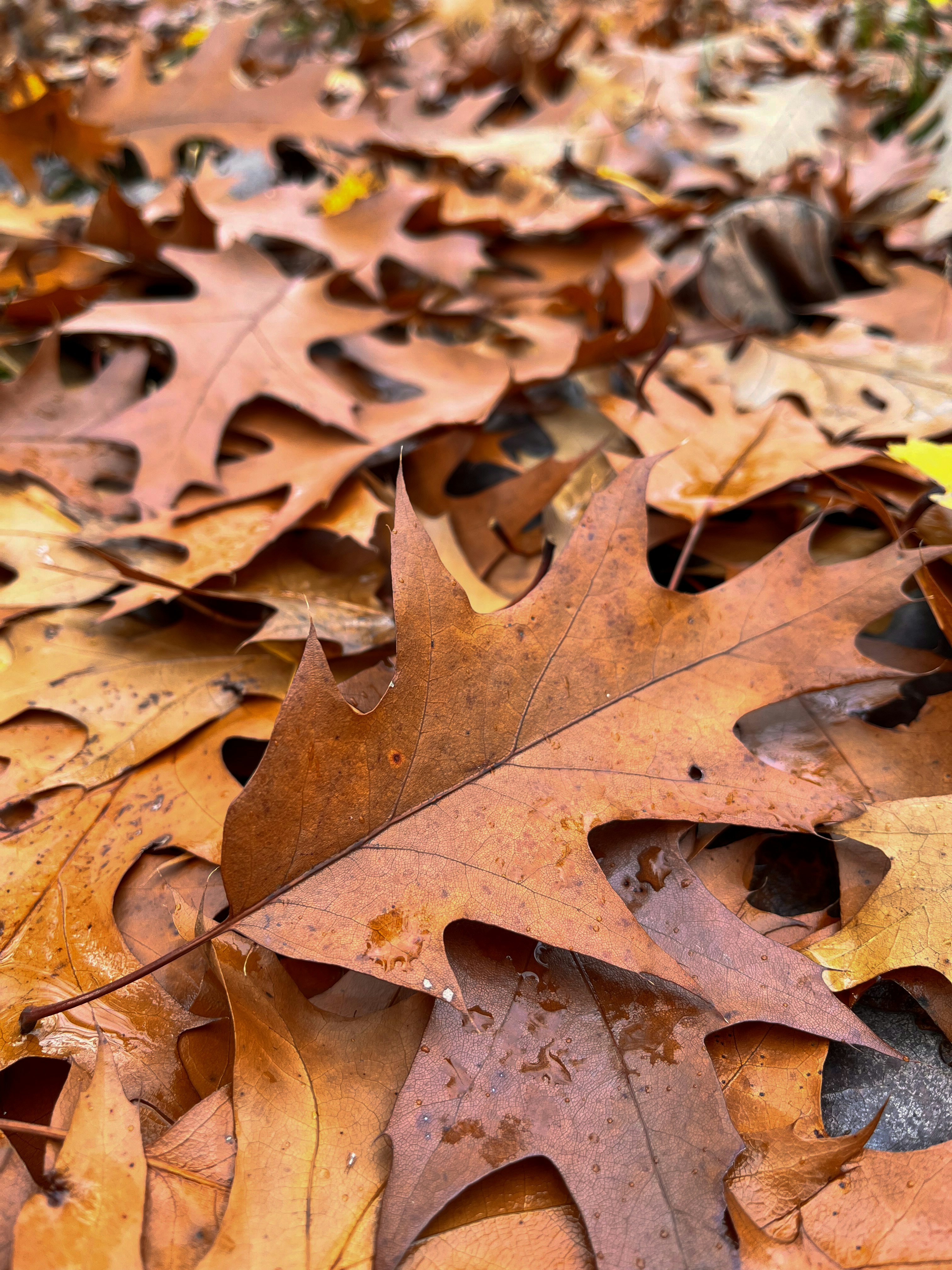 Photo by travelertraveler_