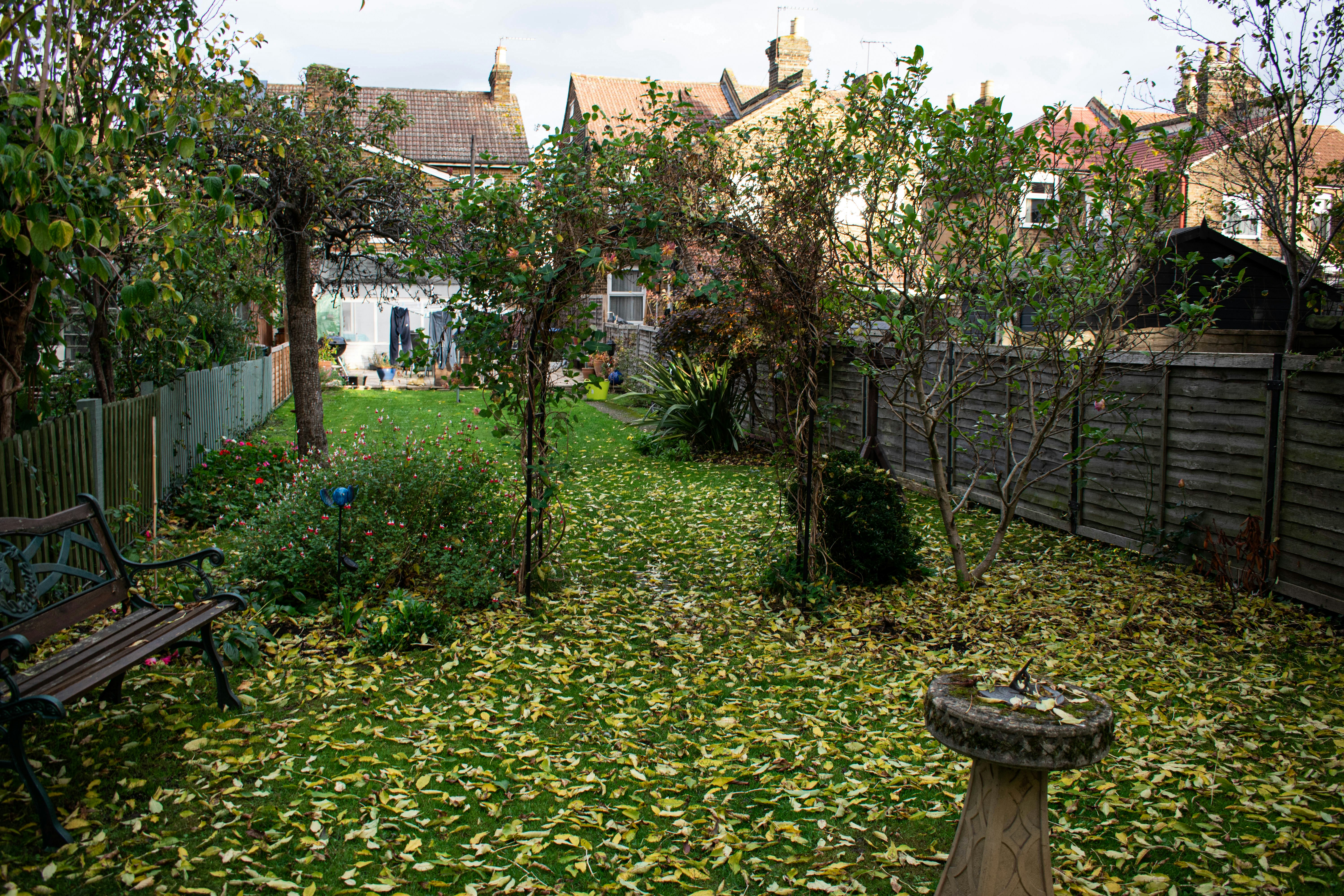 a backyard with trees and benches