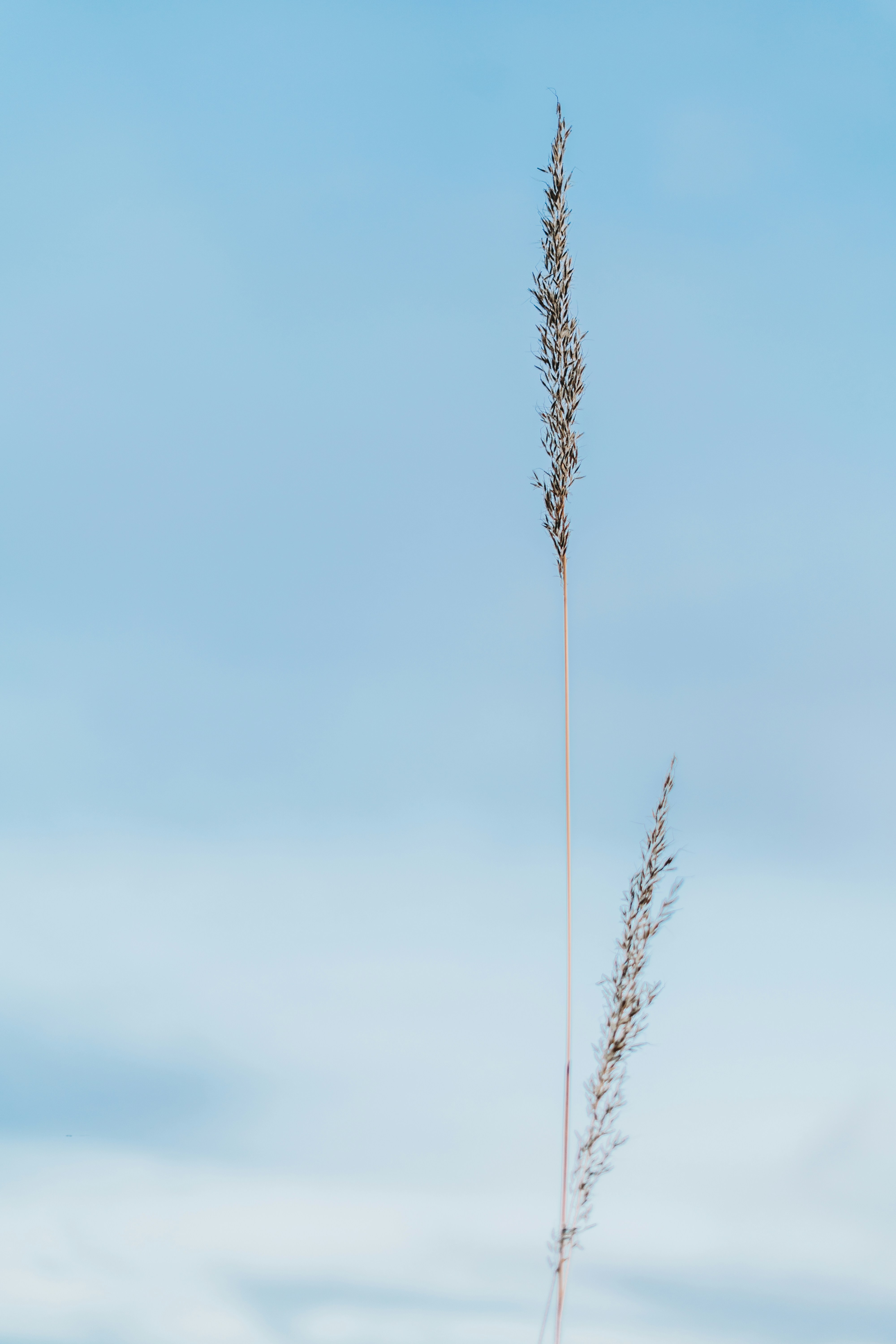 Photo by stevenvanelk