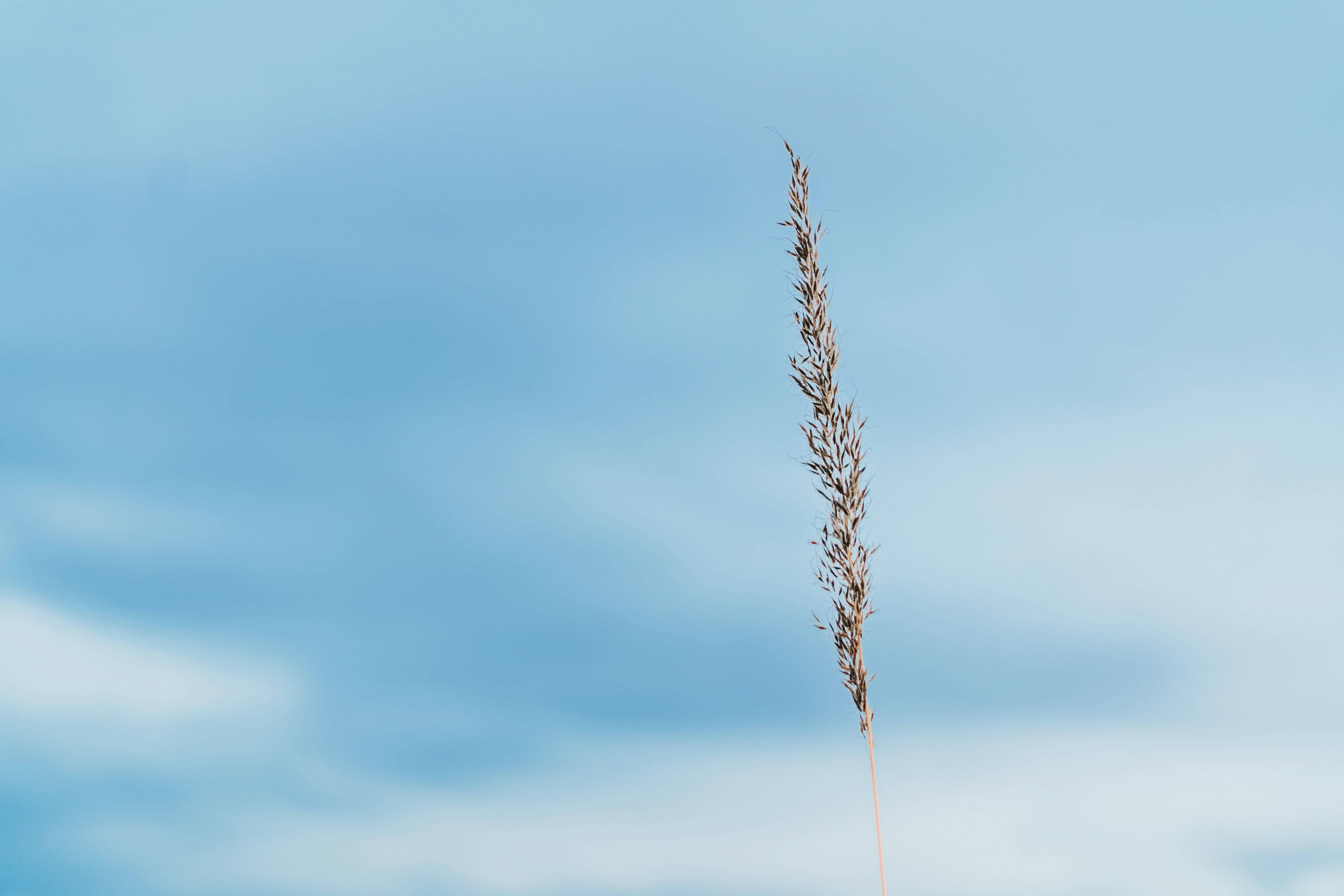 Photo by stevenvanelk