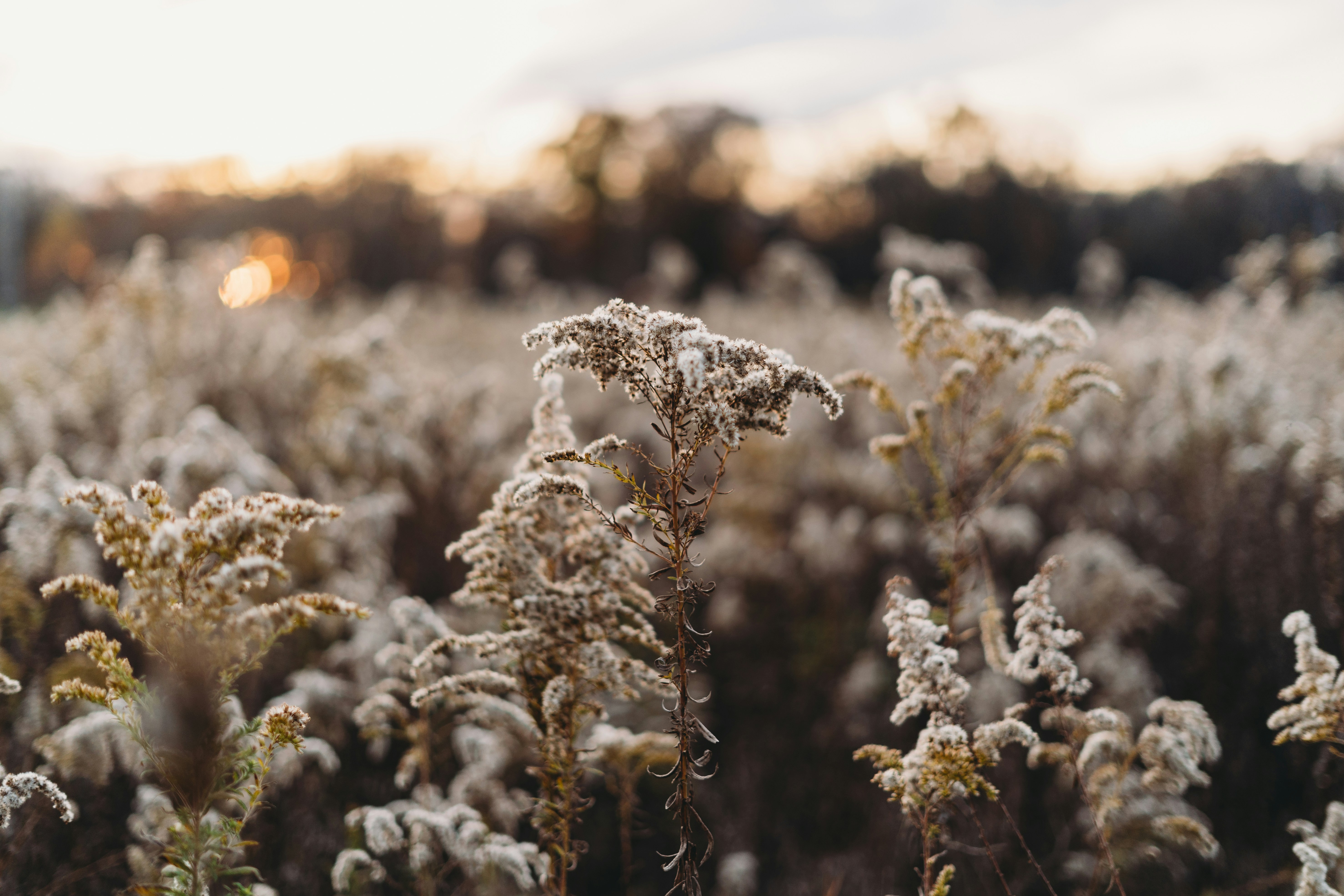 Photo by stevenvanelk