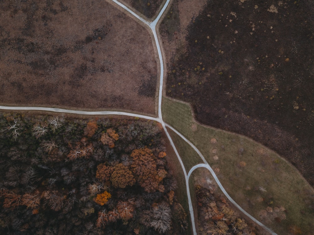 a road with a white line