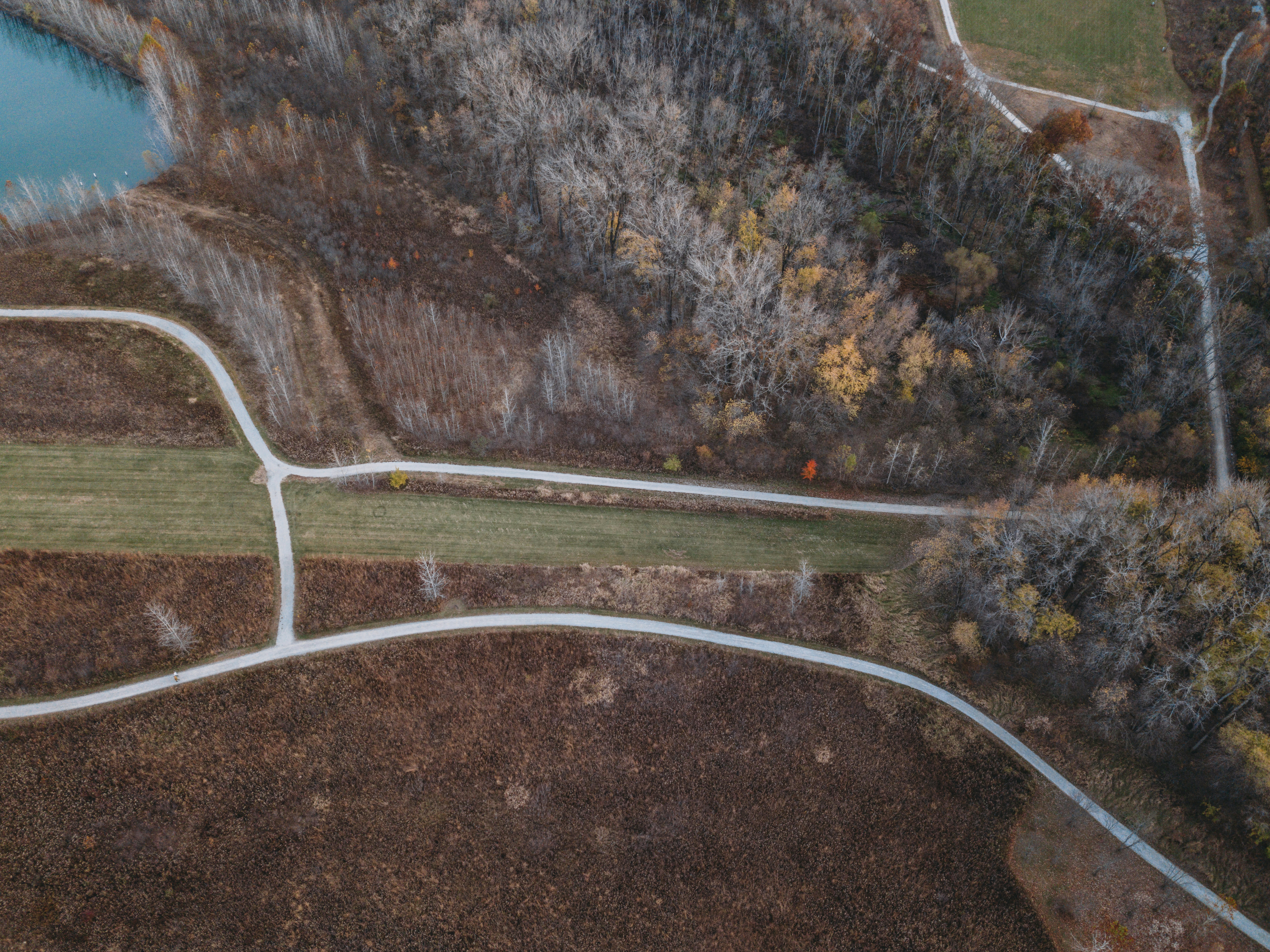 Photo by stevenvanelk