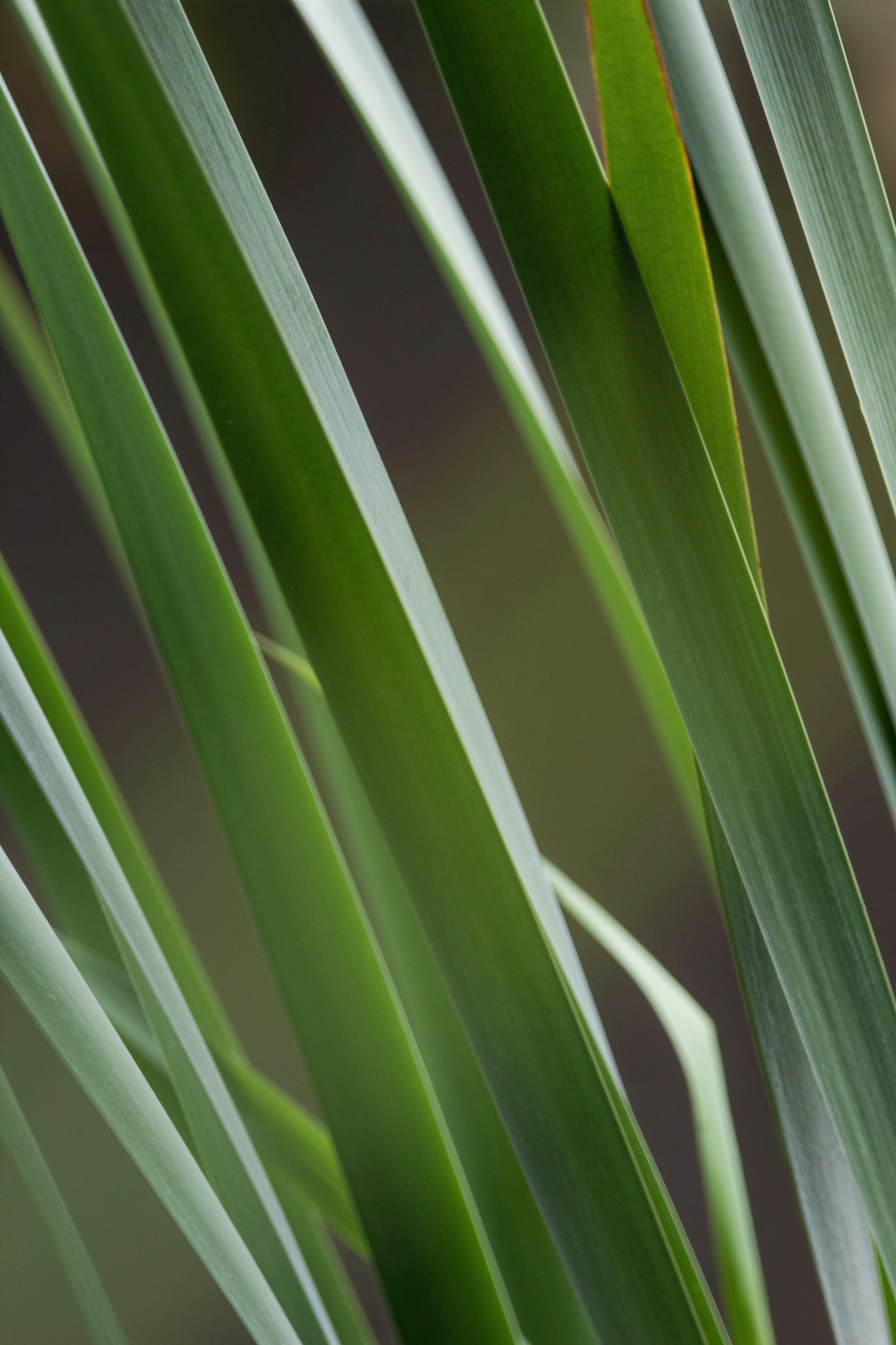 Photo by cirlbunting