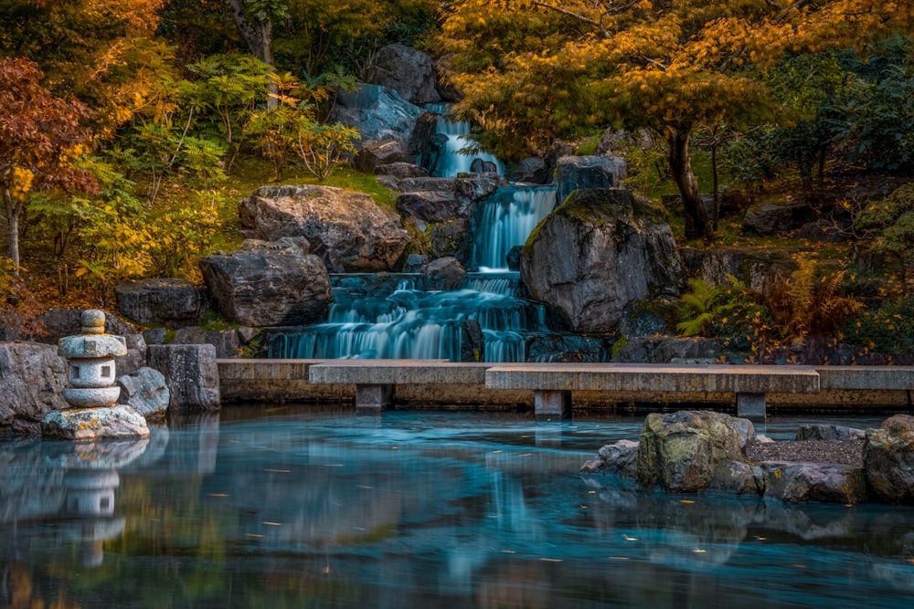 Une cascade dans un parc