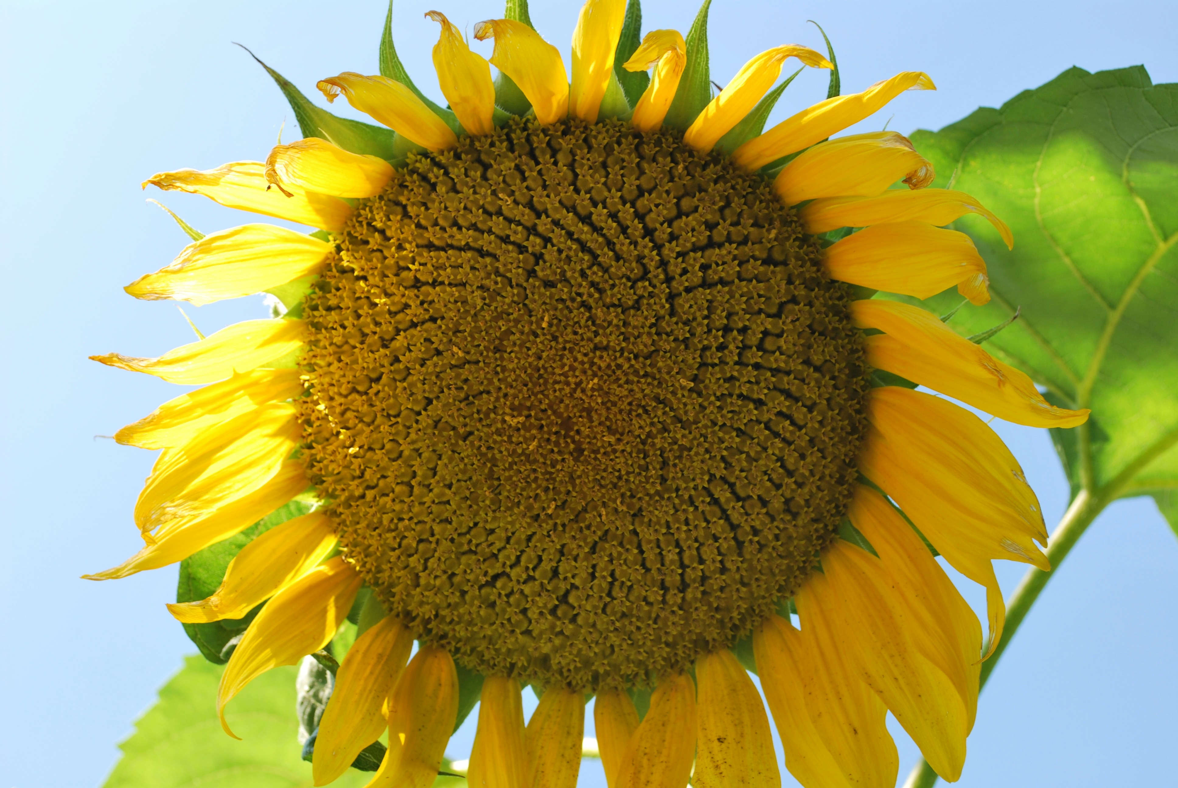 Photo by jungle_nymph