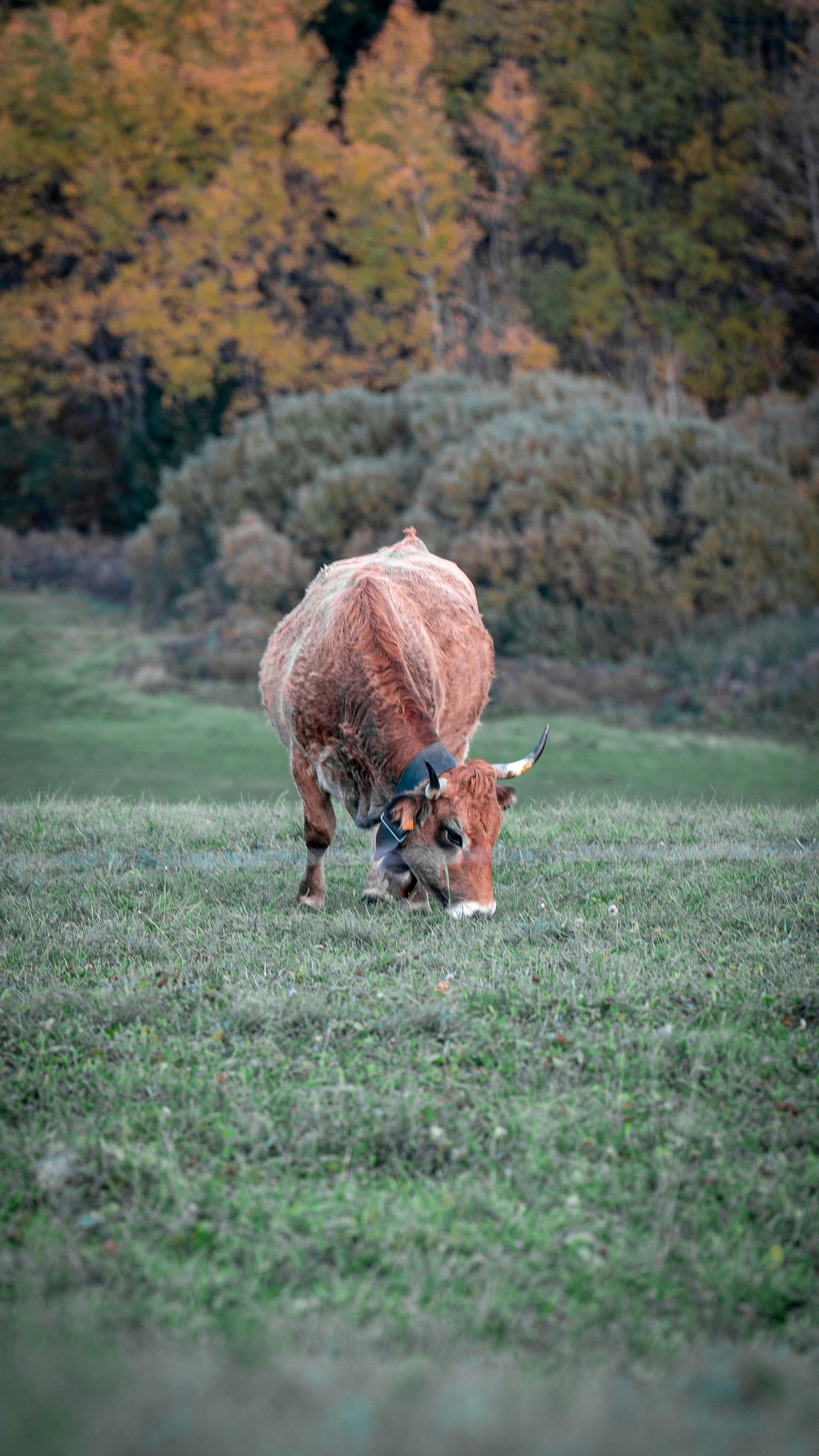 Photo by jacques_dillies