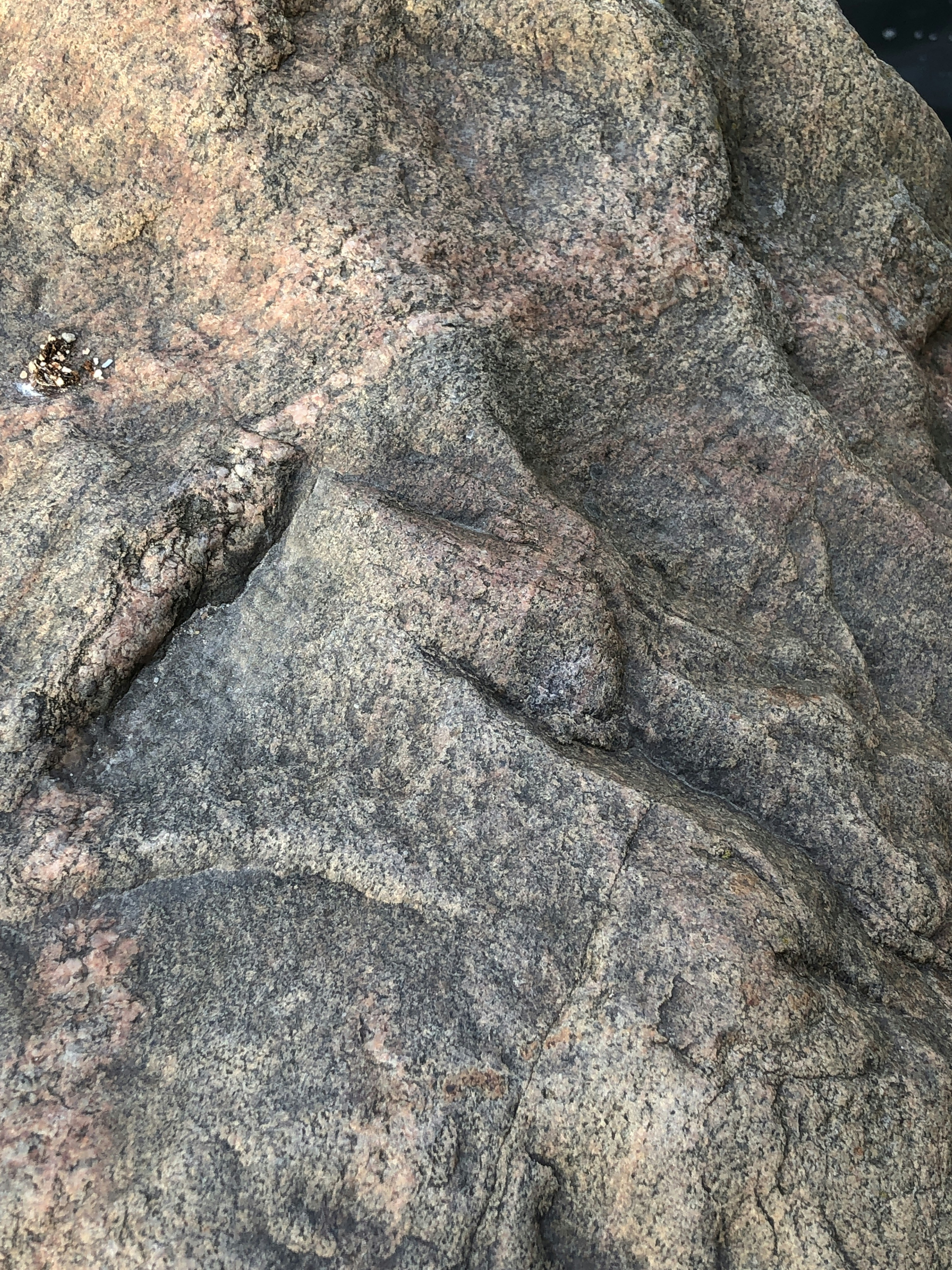 Photo by inna_lobacheva