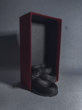 A black snake is coiled inside a tall, rectangular red box with the lid removed. The box is placed on a gray surface, and the lighting creates a moody and slightly mysterious atmosphere.