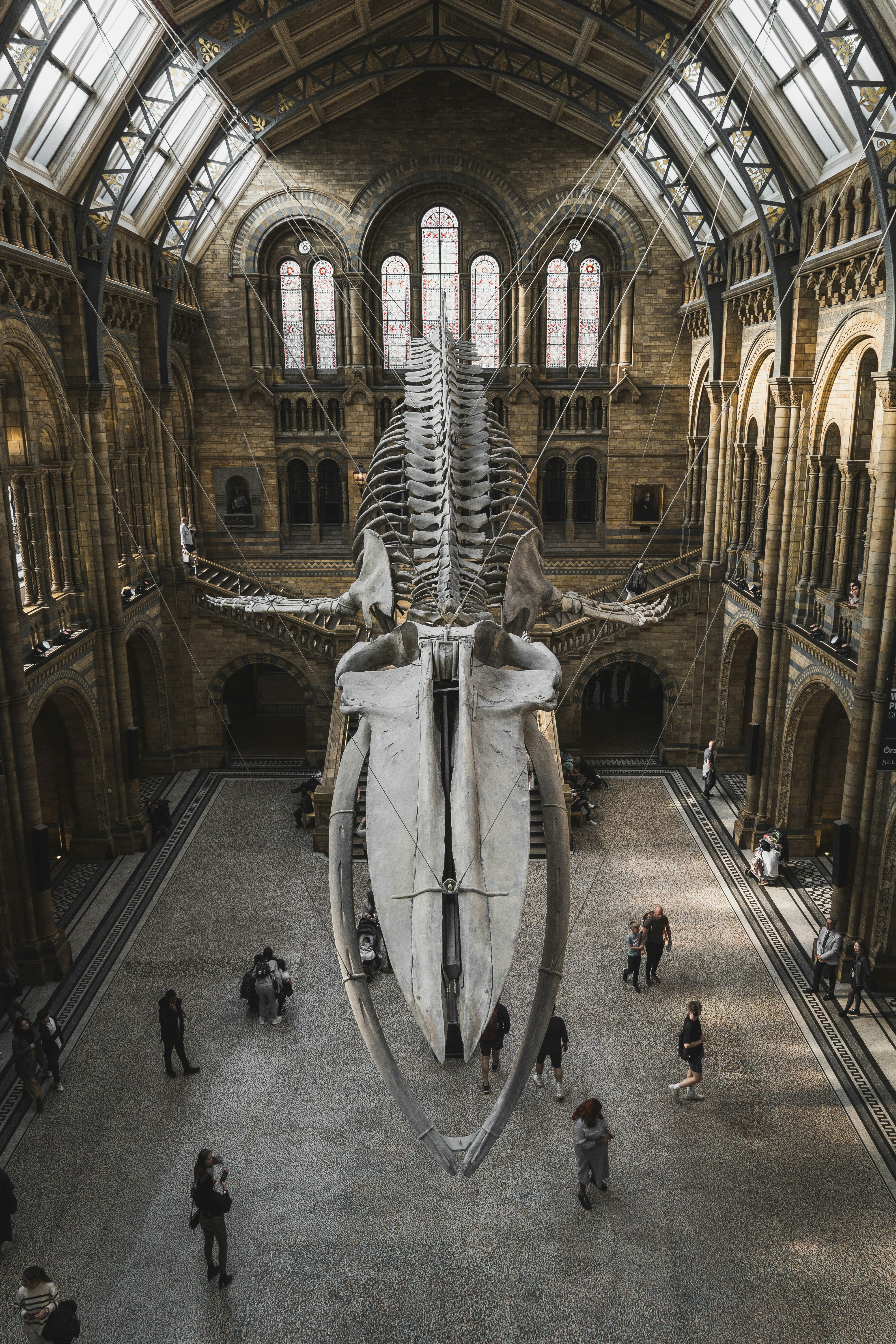 Photo by imgavinwilson