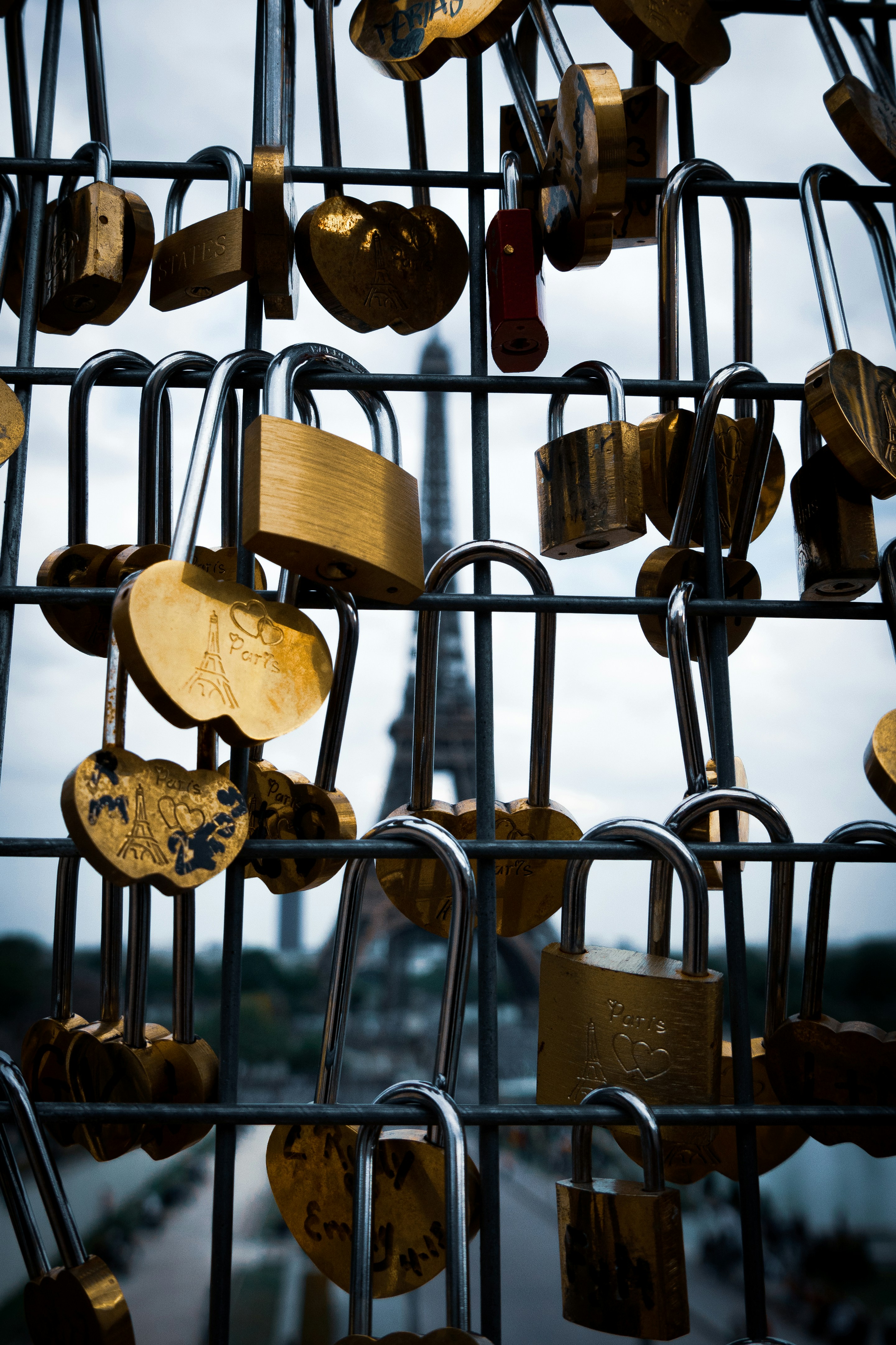 Photo by imgavinwilson