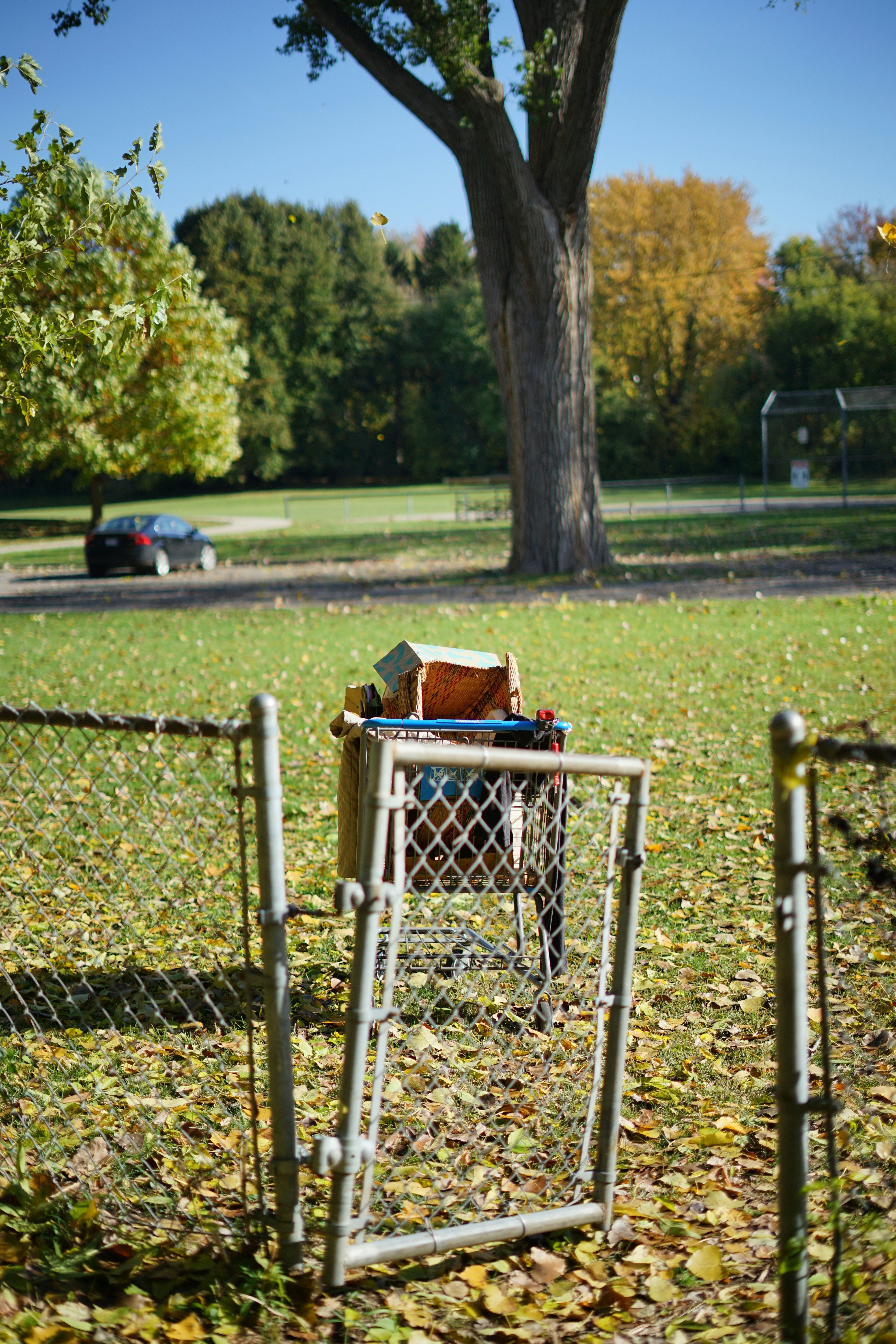 a basket on a chair in a park