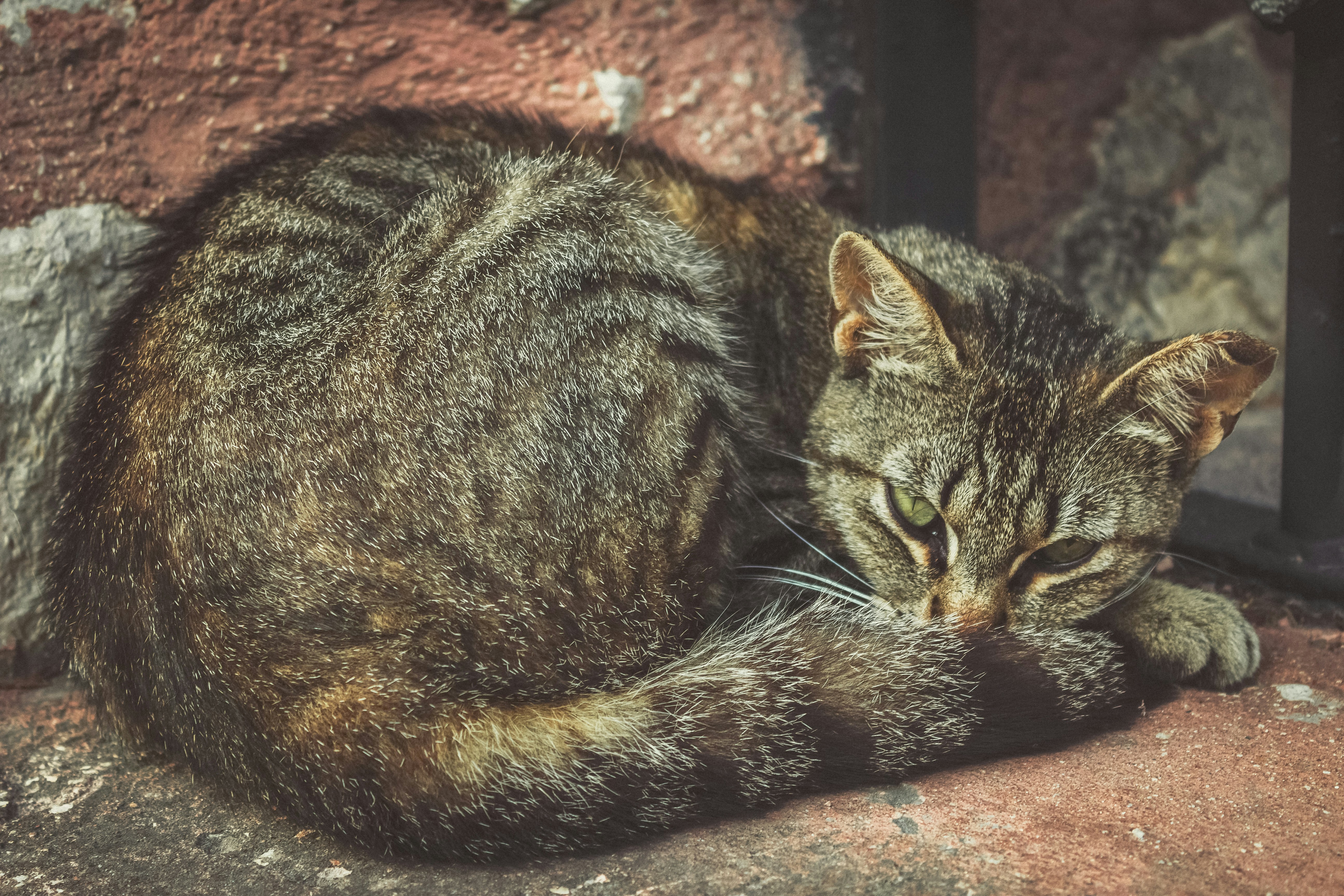 Photo by reanimatedmanx