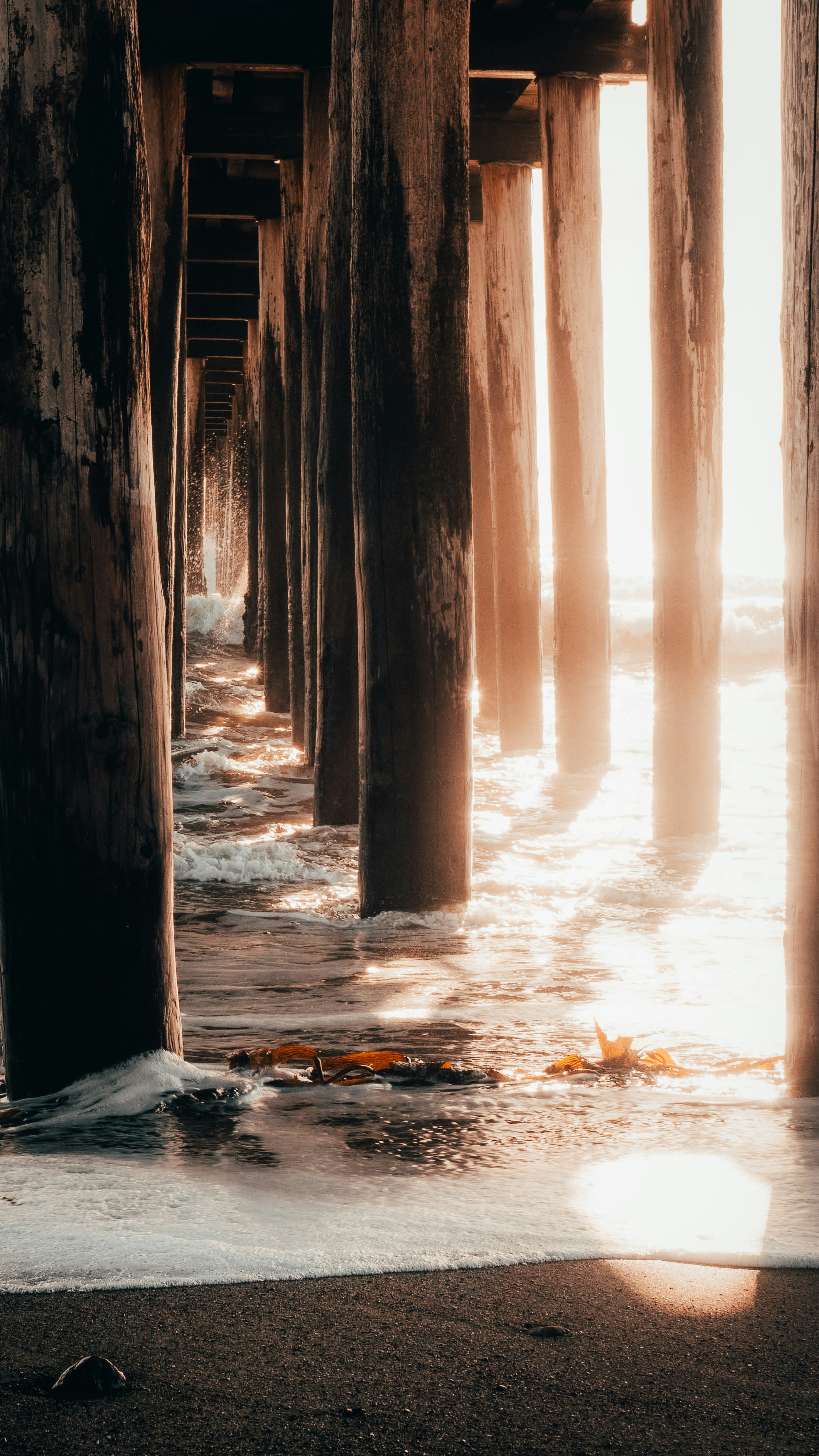 Photo by kalaniparker