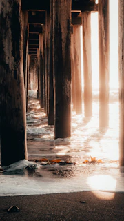 Underwater view of ruins and remnants of the empire’s six pillars, covered in seaweed.
