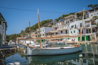 boats docked in a harbor