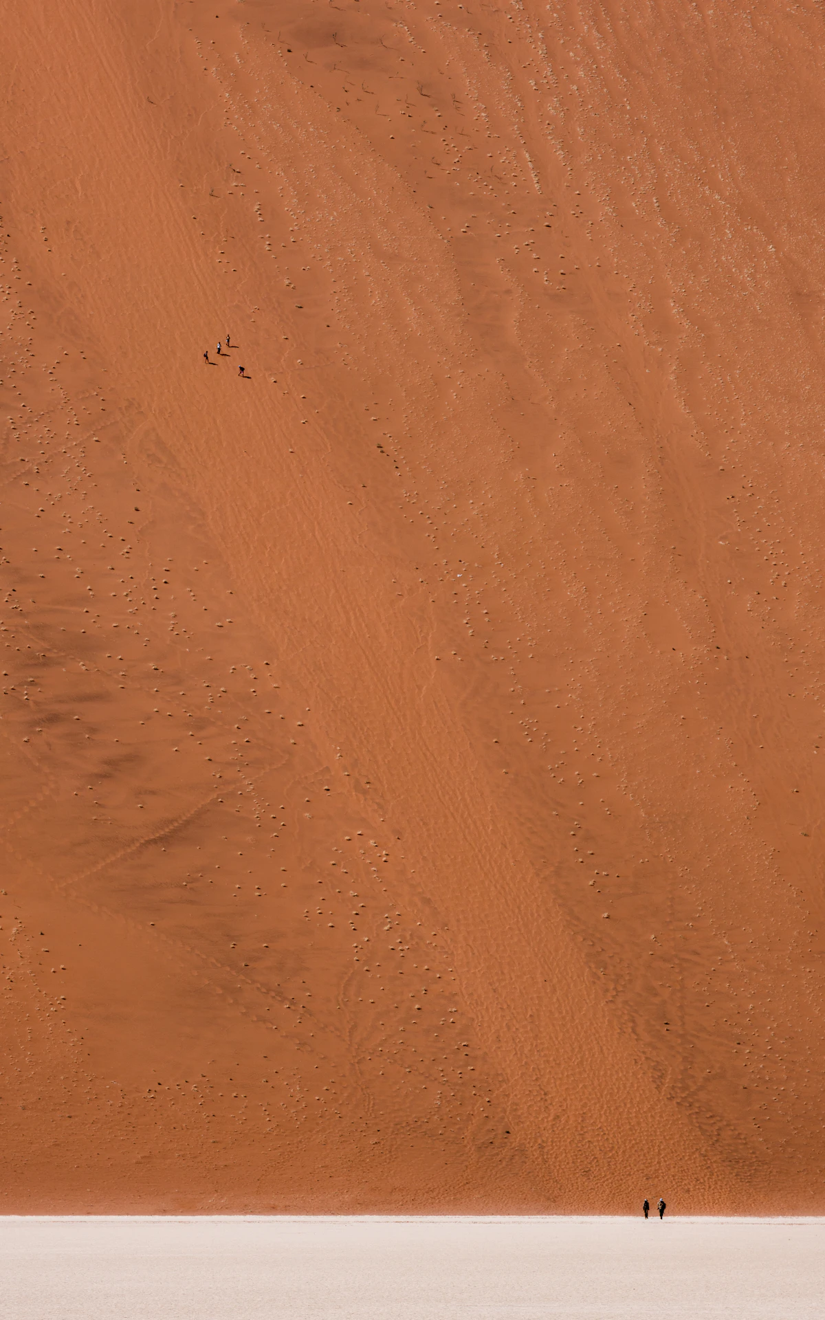 People walking along the crest of a sand dune