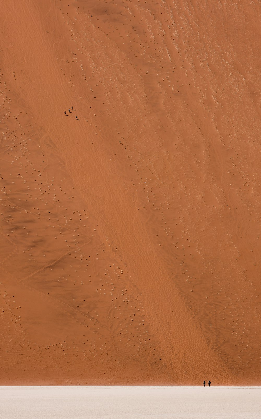 people walking on a sand dune