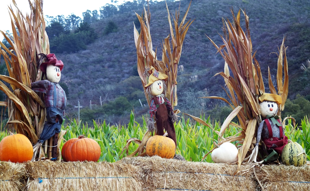 a group of scarecrows in a field
