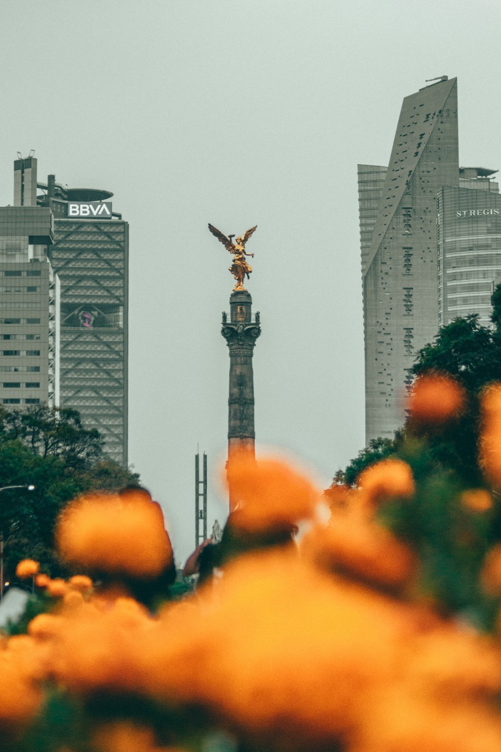 a statue of a person on a horse in front of a city