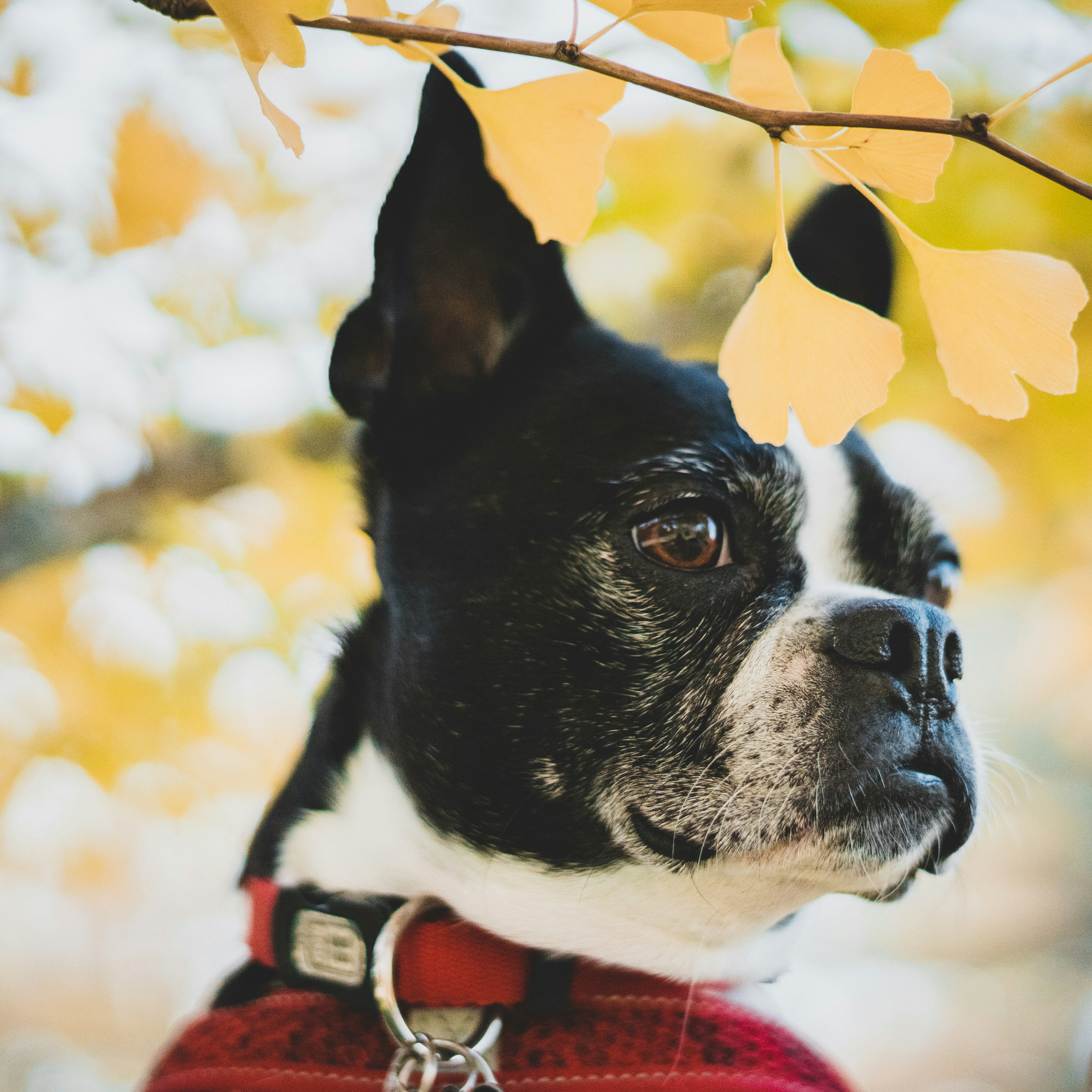 Photo by introspectivedsgn