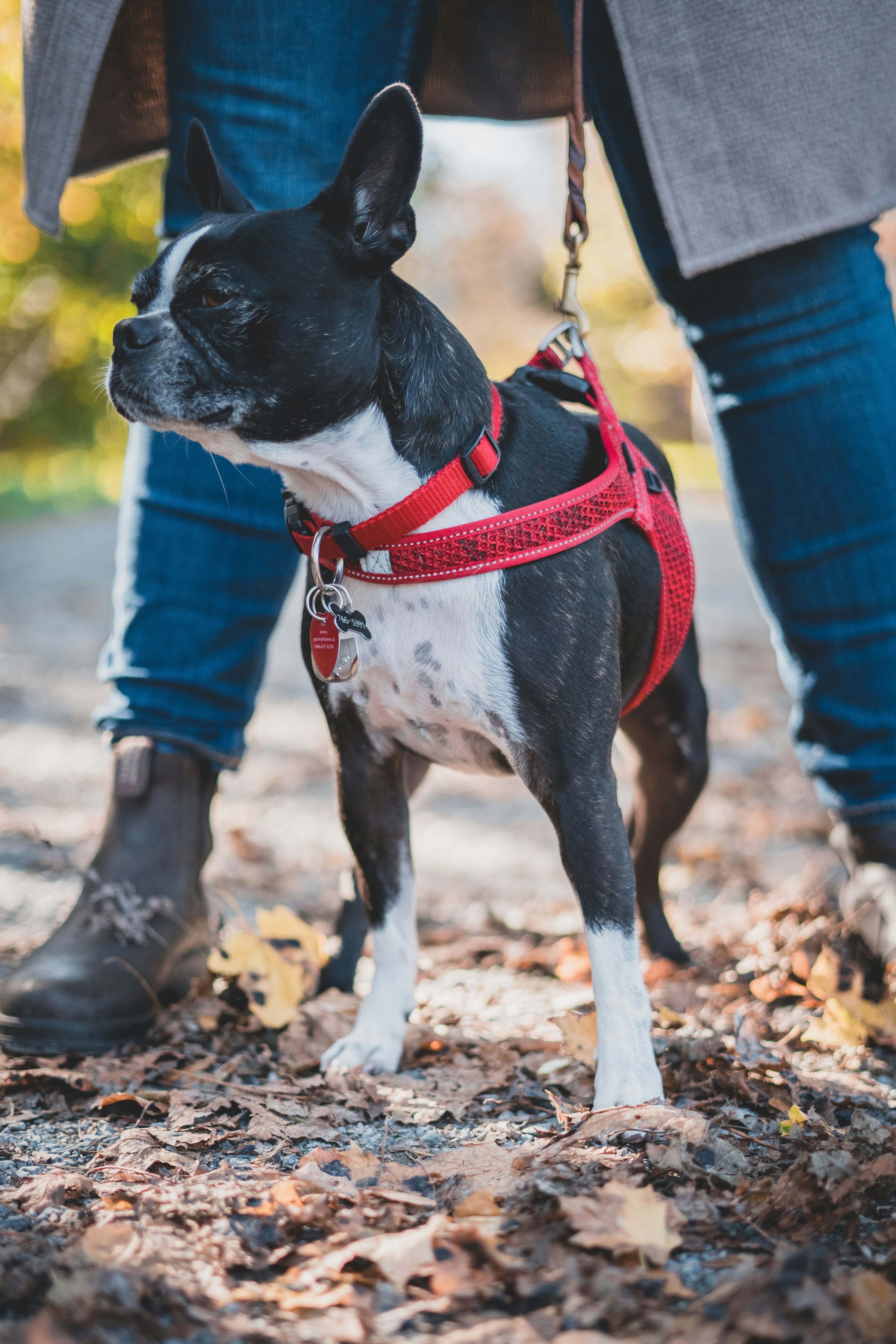 Photo by introspectivedsgn