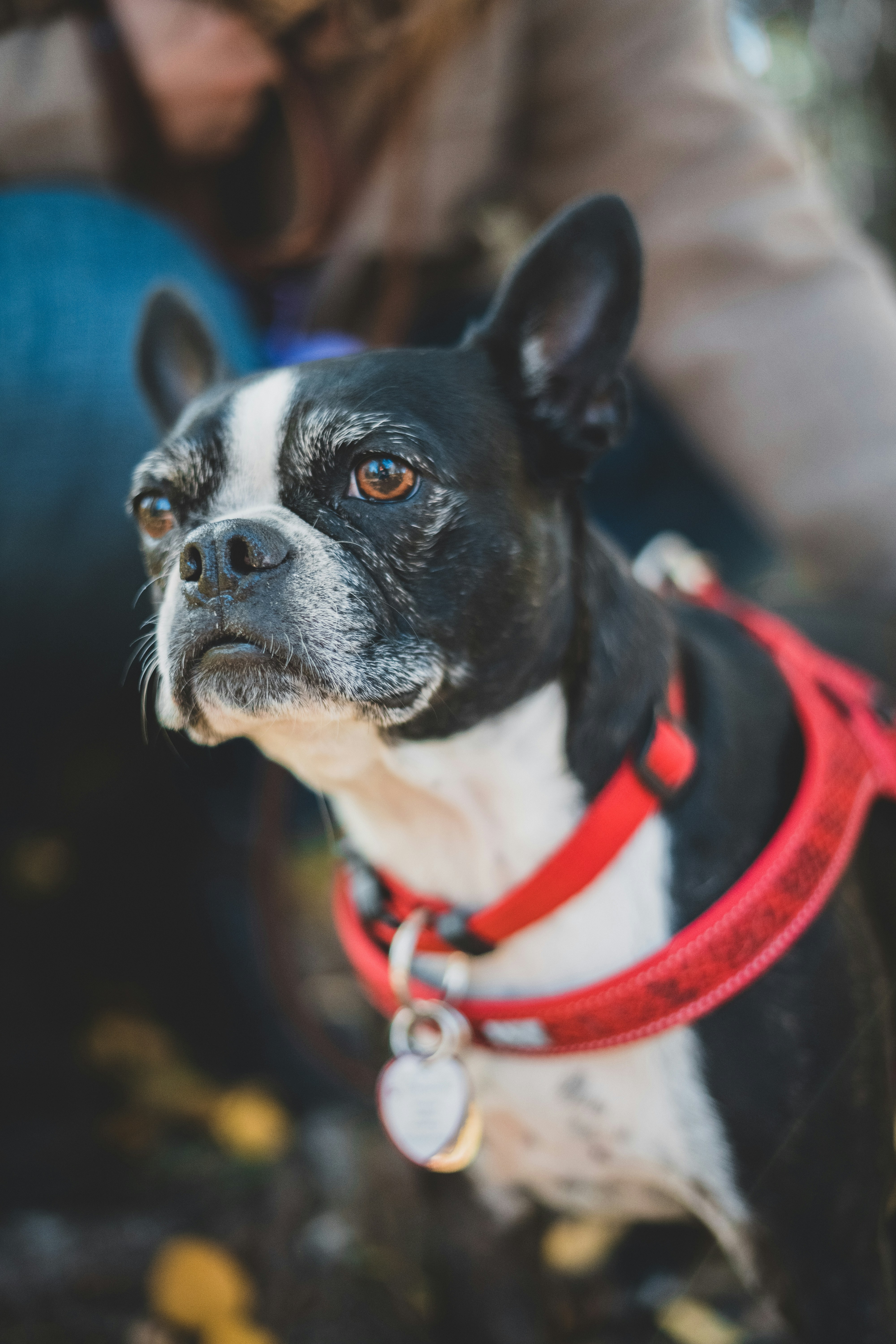 Photo by introspectivedsgn