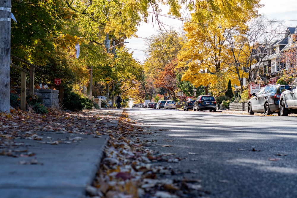 a street with cars parked on the side