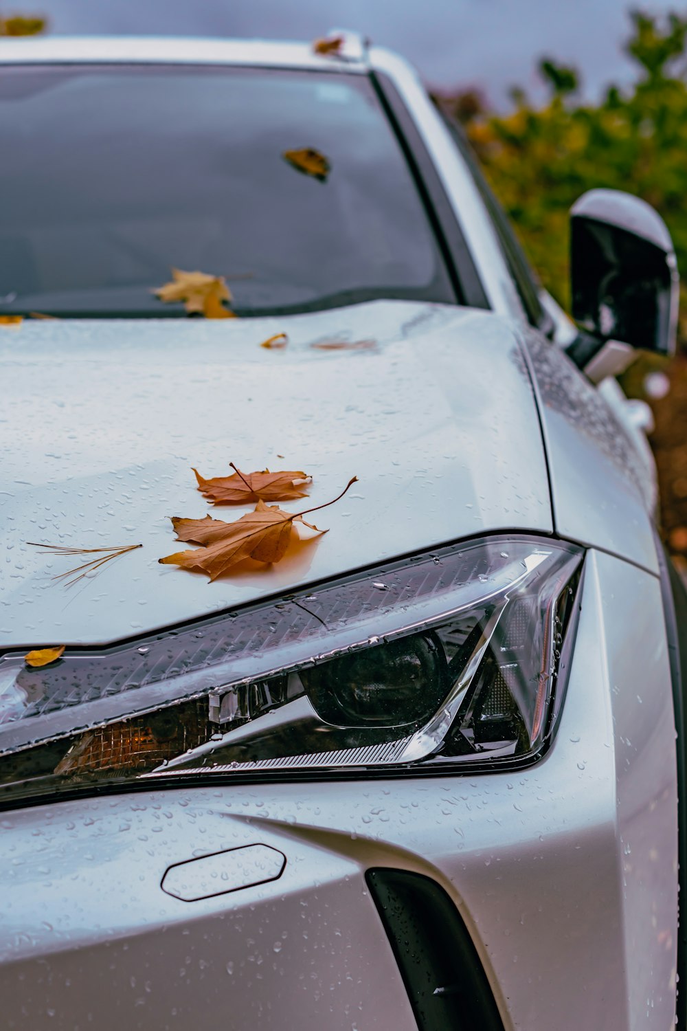 a car with a group of bugs on the hood