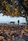 A thoughtful individual walking alone in a quiet park, surrounded by autumn leaves.