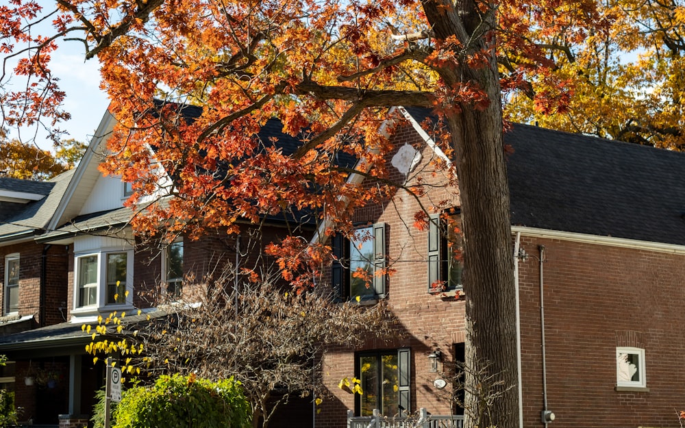 a tree with orange leaves in front of a brick building