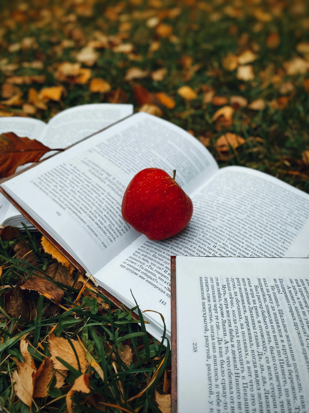 a red apple on top of a book