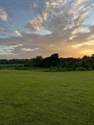 Open expanse of green land with a sunset horizon perfect for building dreams.